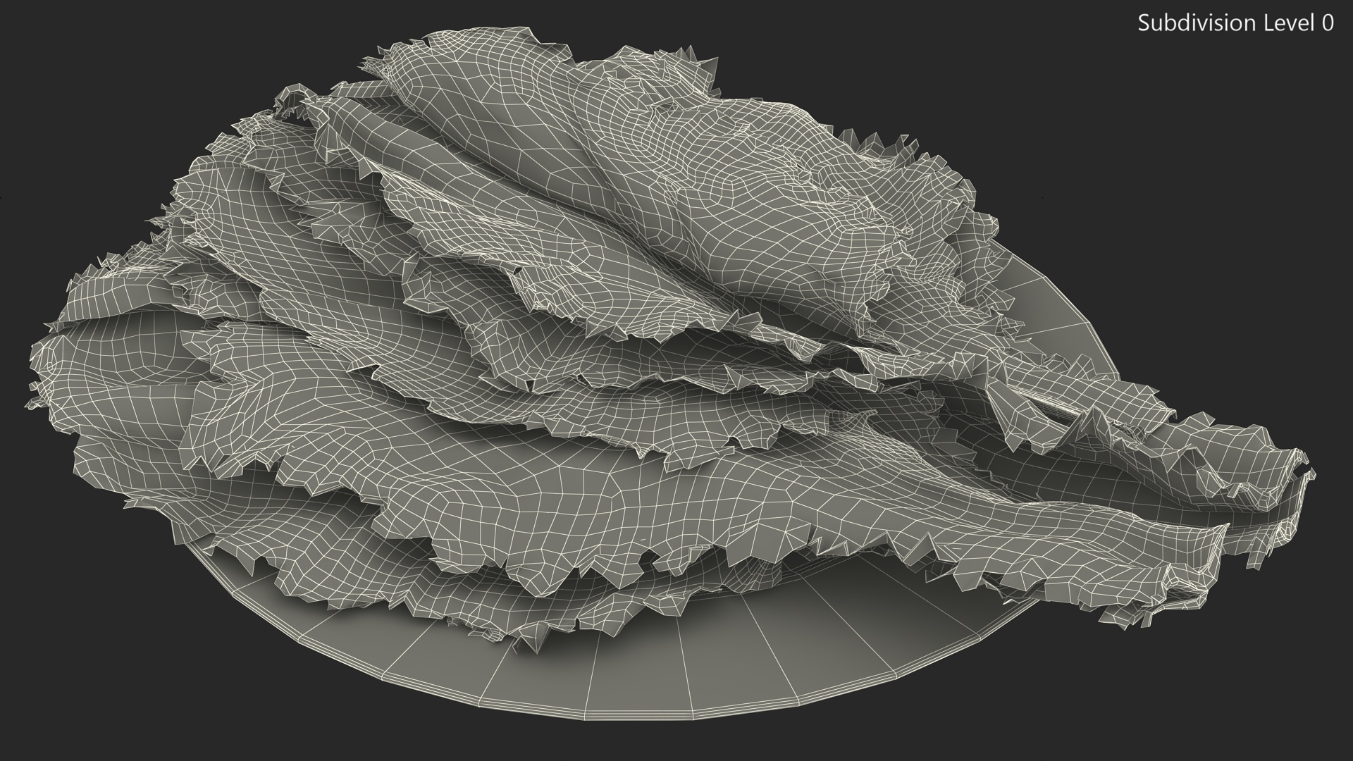 3D Lettuce Leaves on Plate model