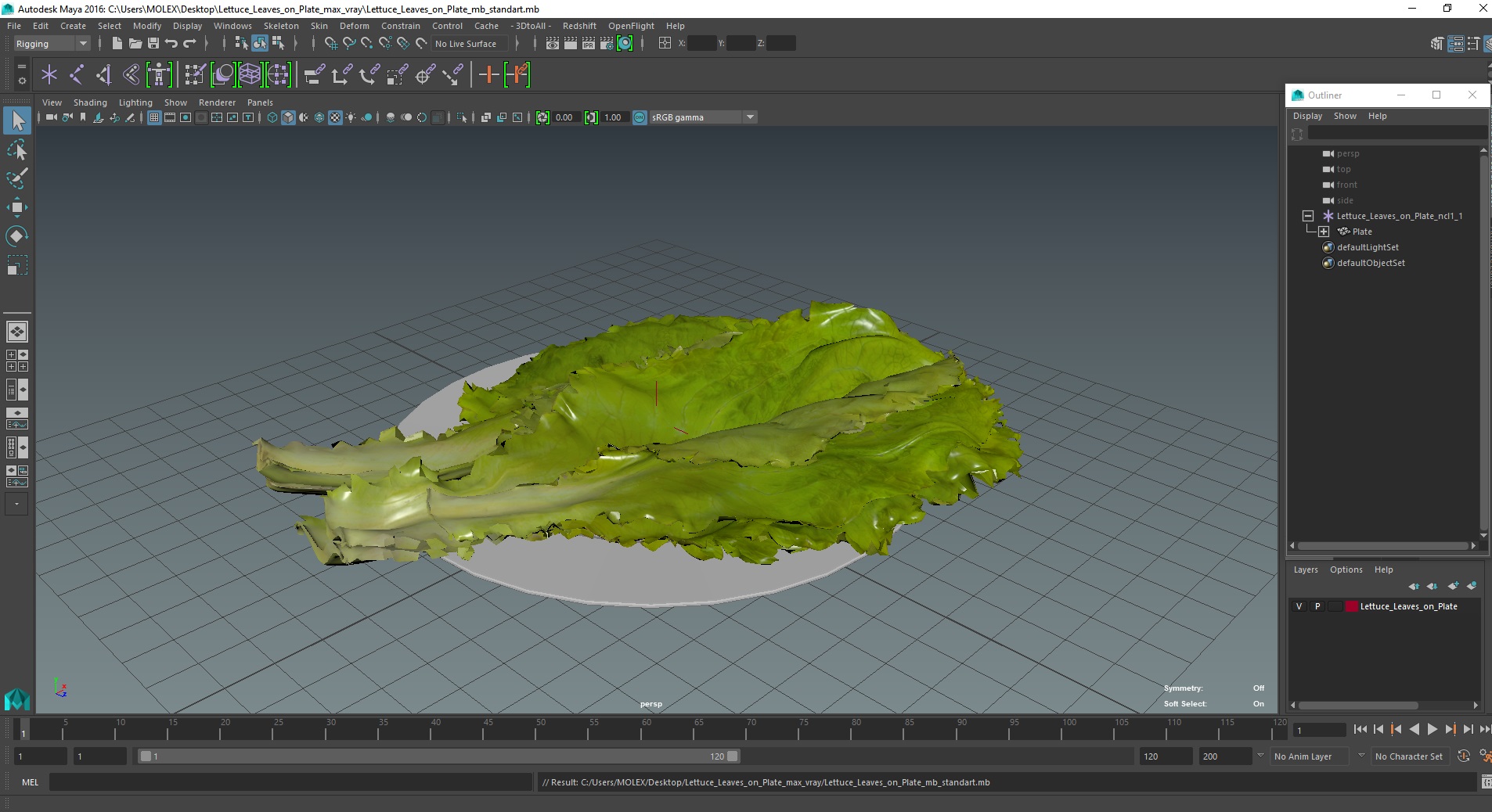 3D Lettuce Leaves on Plate model