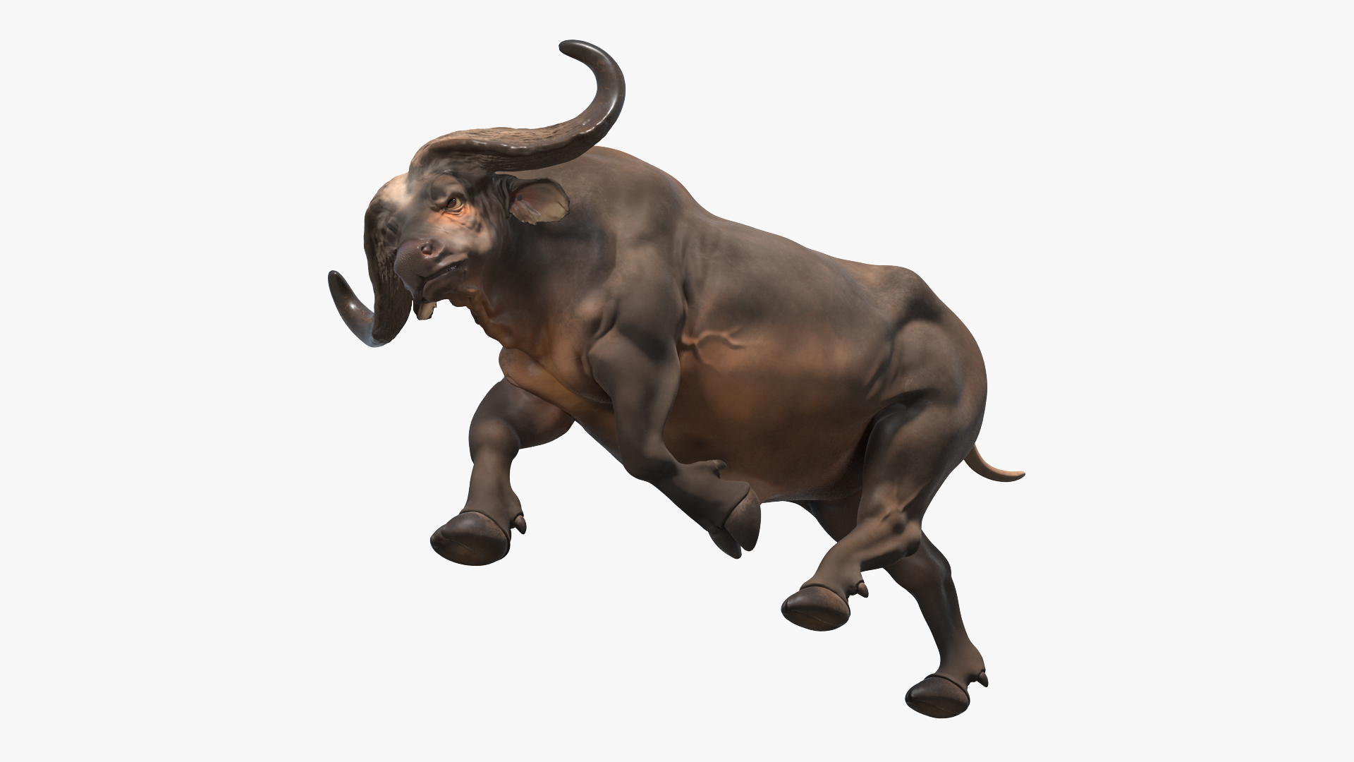 3D model African Buffalo Attacking Pose