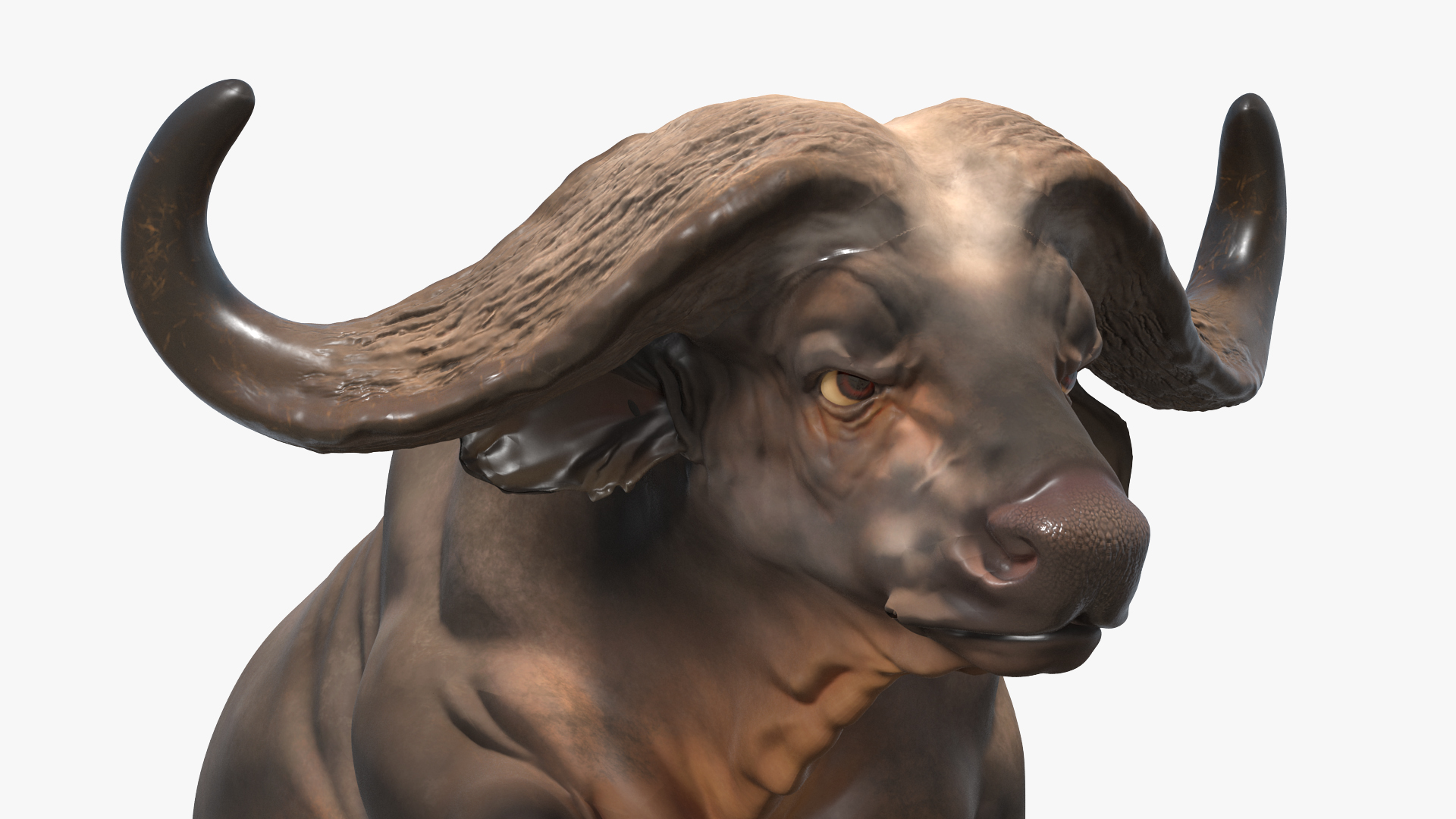 3D model African Buffalo Attacking Pose