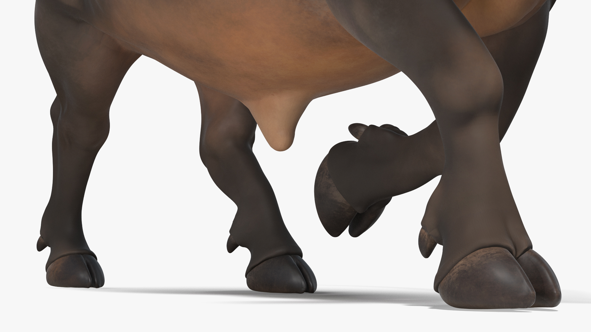 3D model African Buffalo Attacking Pose