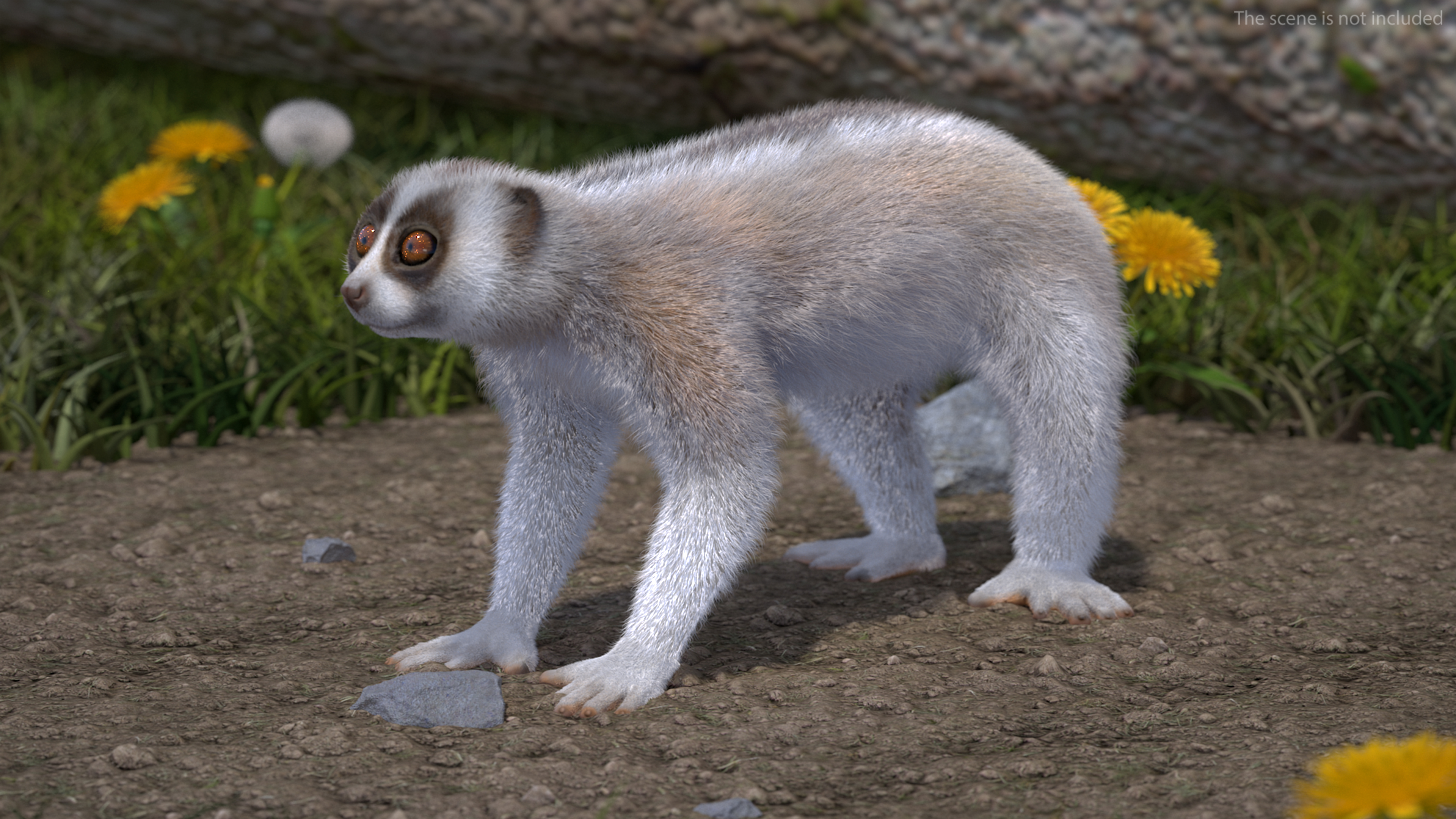 Javan Slow Loris Fur Rigged 3D