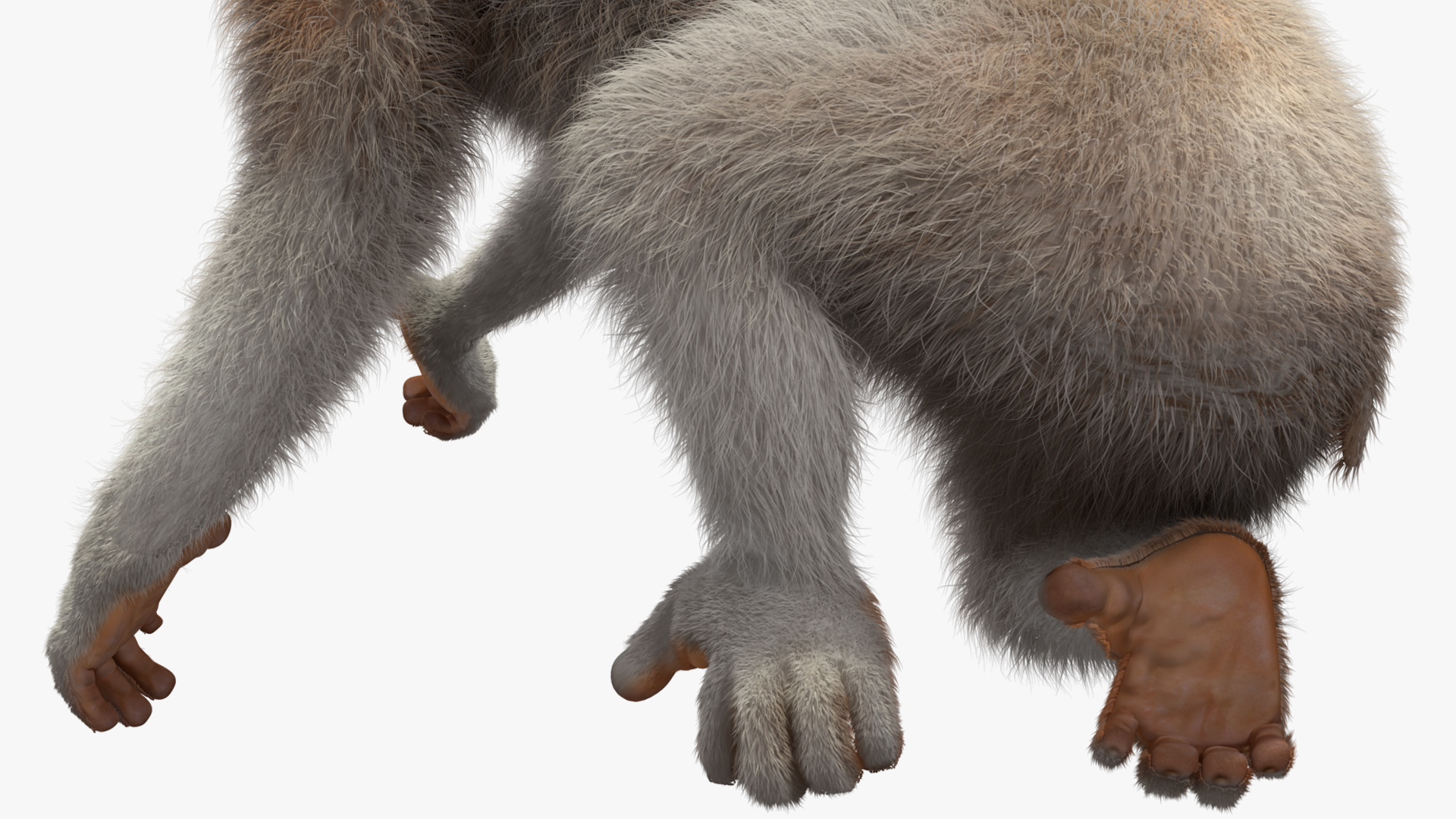 Javan Slow Loris Fur Rigged 3D