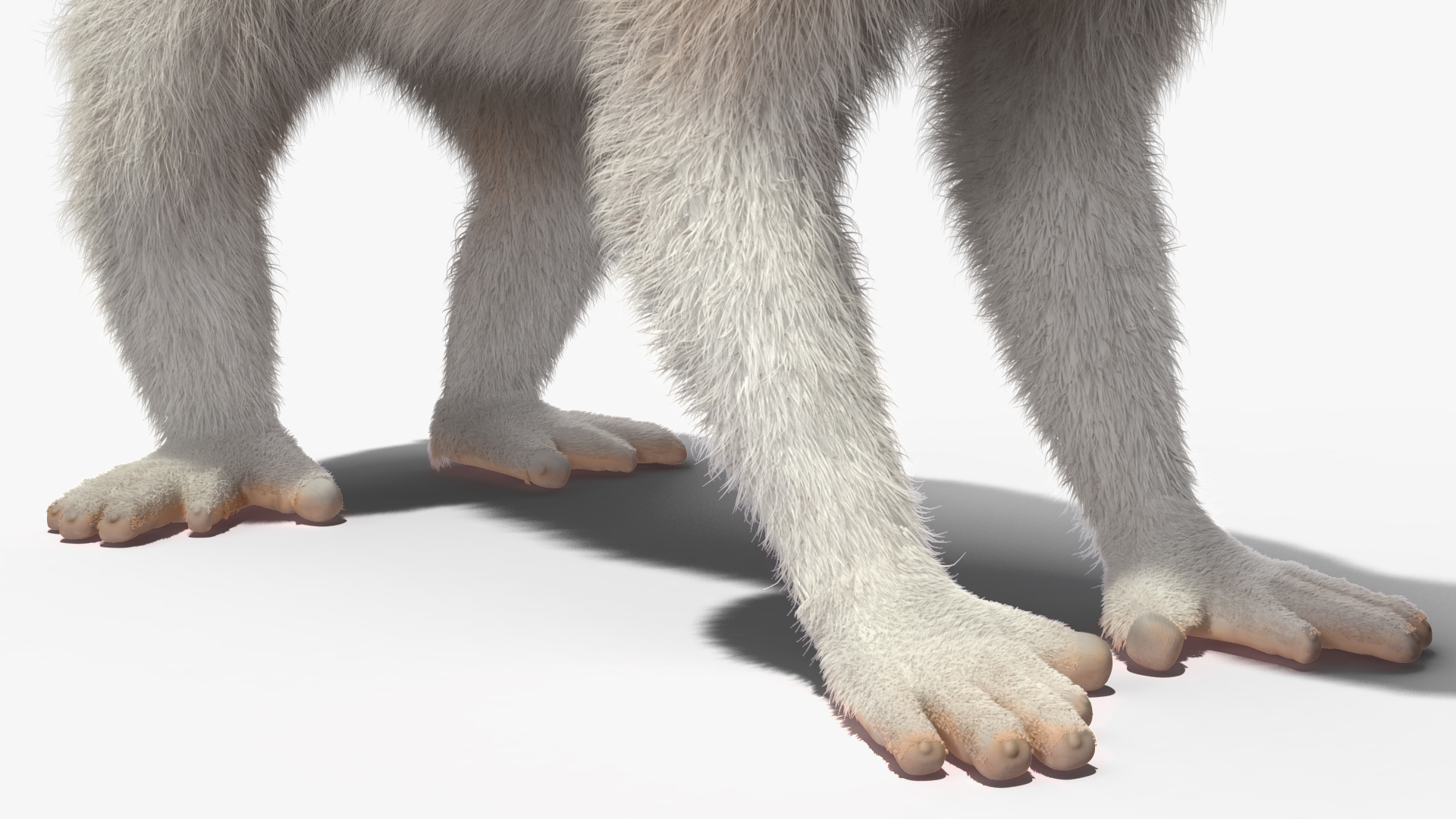 Javan Slow Loris Fur Rigged 3D