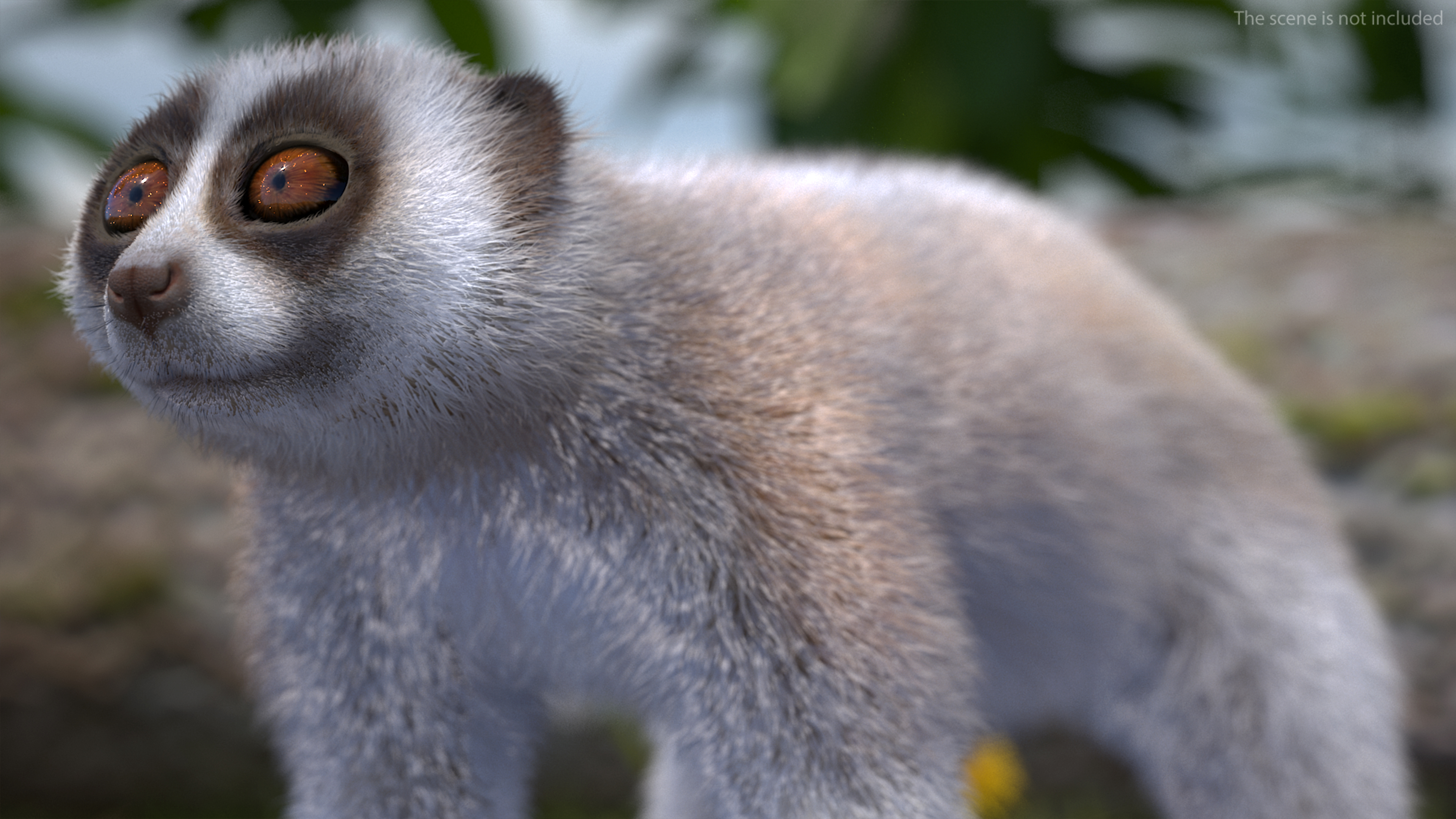 Javan Slow Loris Fur Rigged 3D