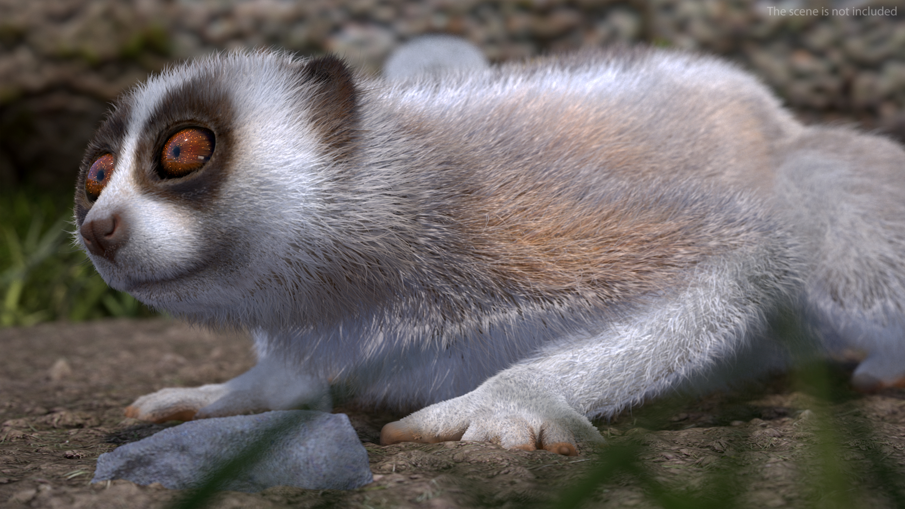 Javan Slow Loris Fur Rigged 3D