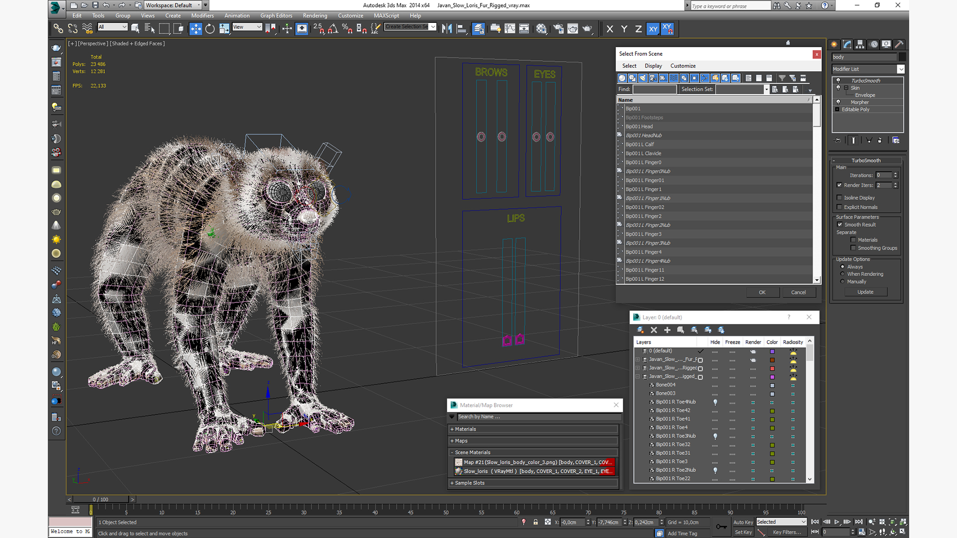 Javan Slow Loris Fur Rigged 3D