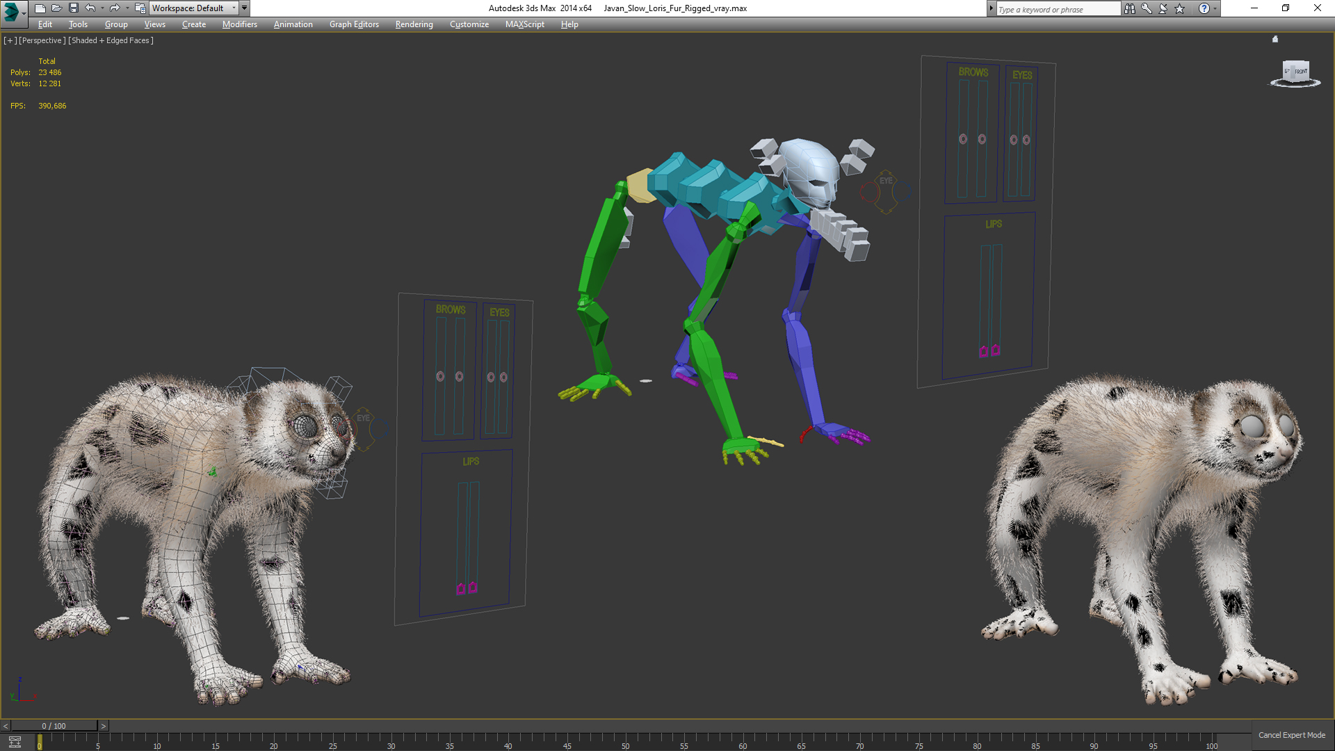 Javan Slow Loris Fur Rigged 3D