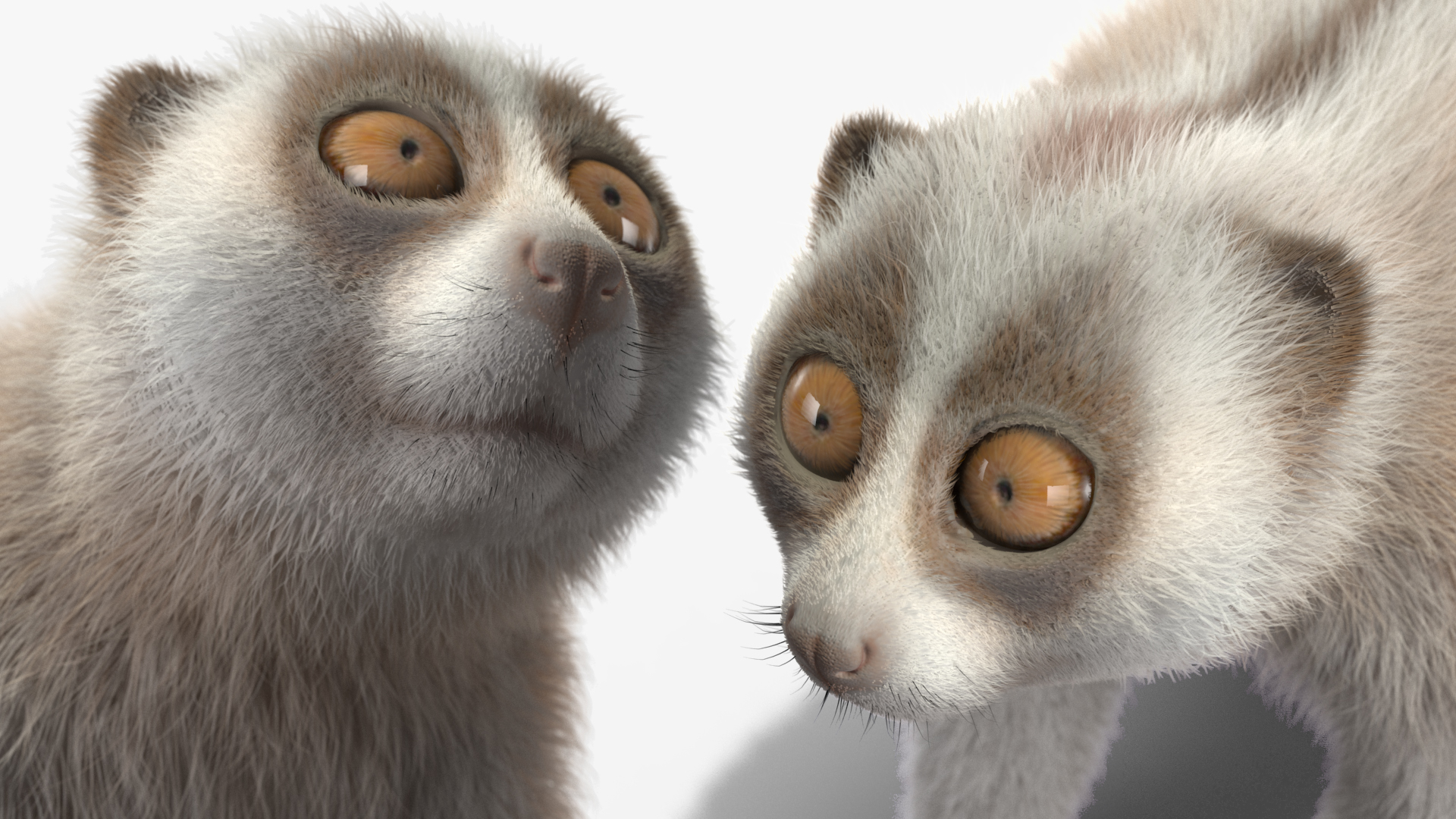 Javan Slow Loris Fur Rigged 3D