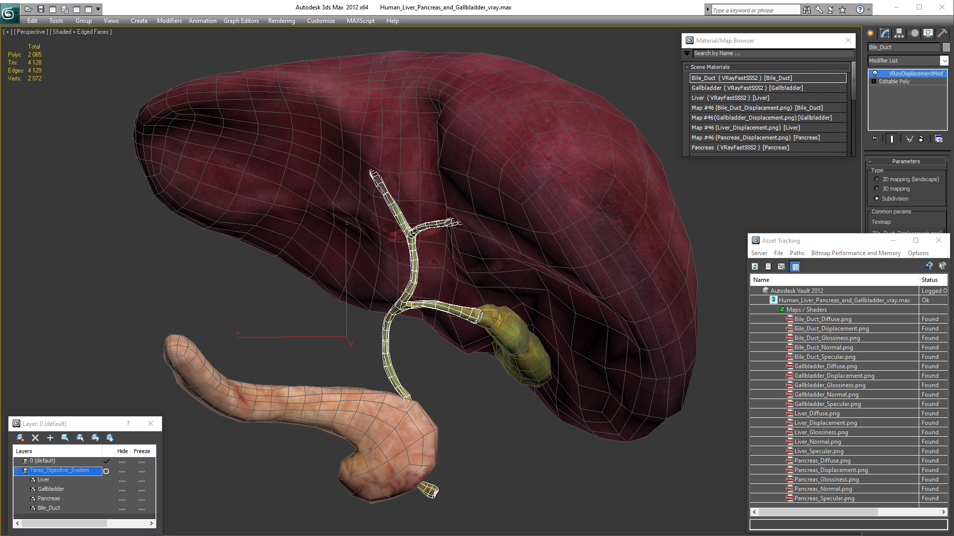 3D Human Liver Pancreas and Gallbladder