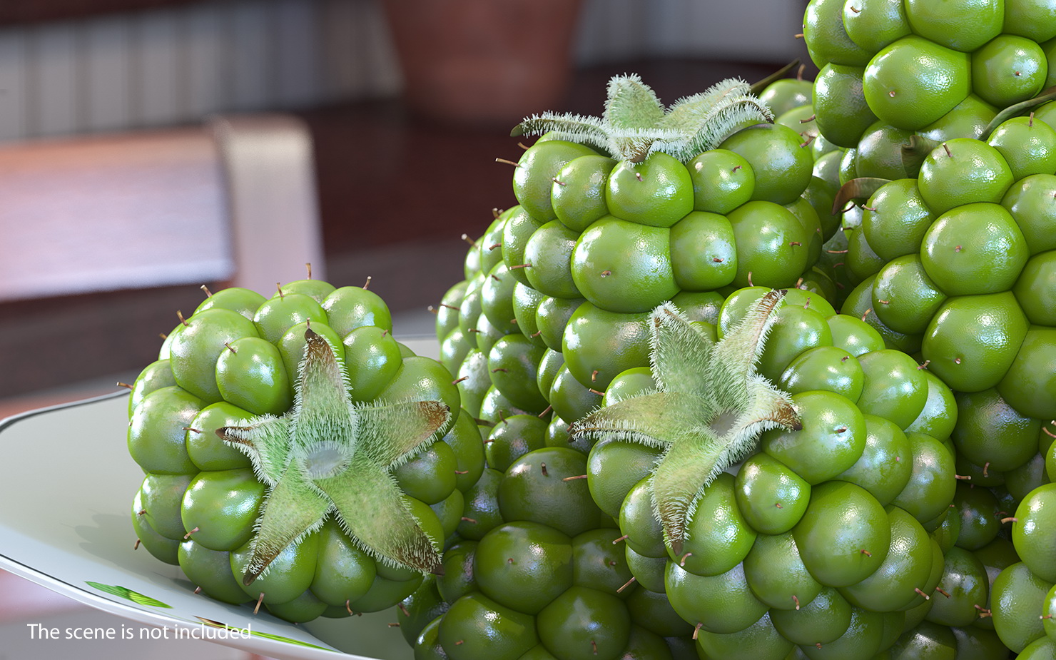 Unripe Green Blackberry with Fur 3D