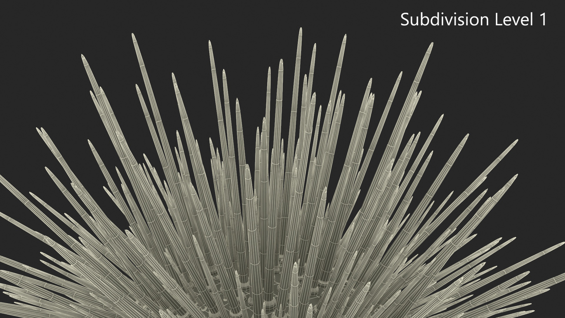 3D Black Sea Urchin