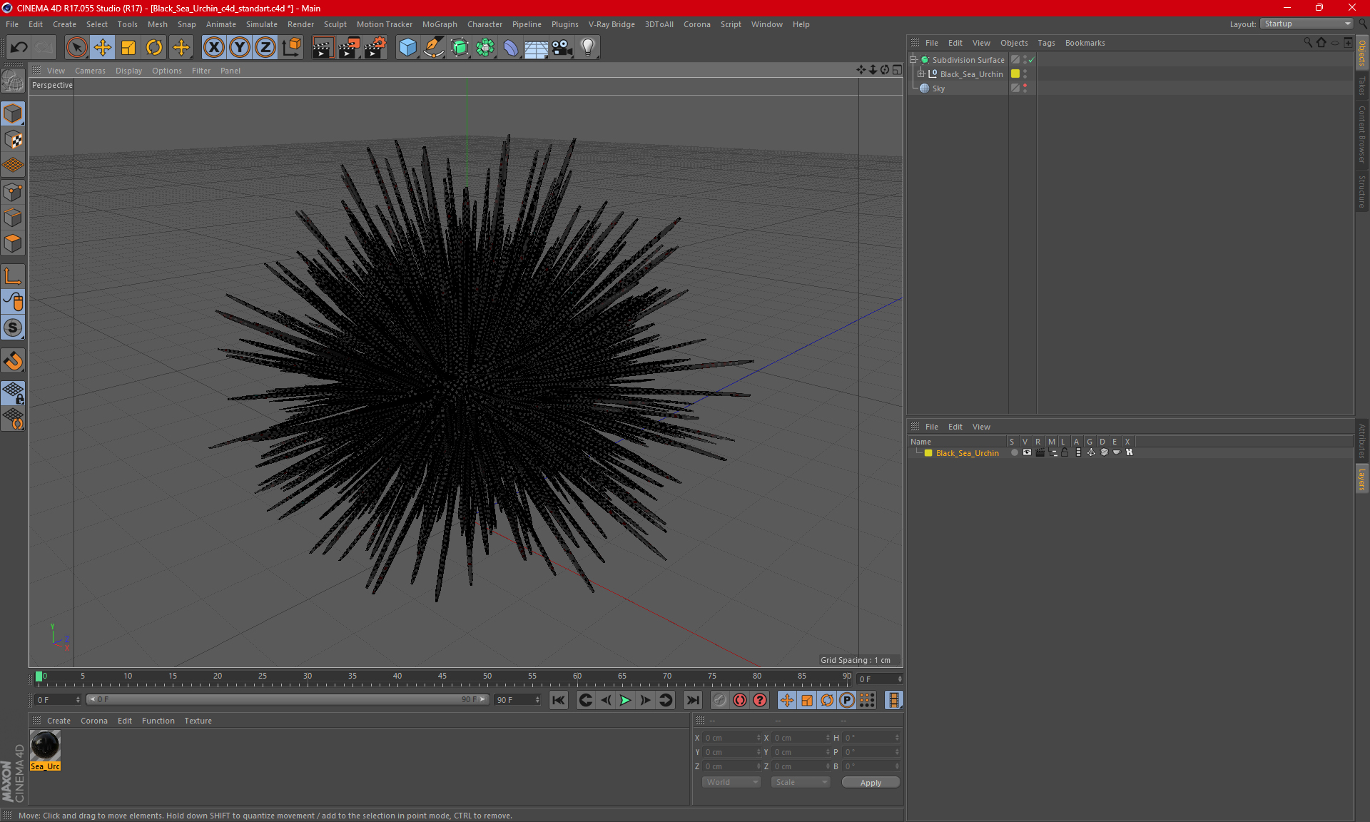 3D Black Sea Urchin