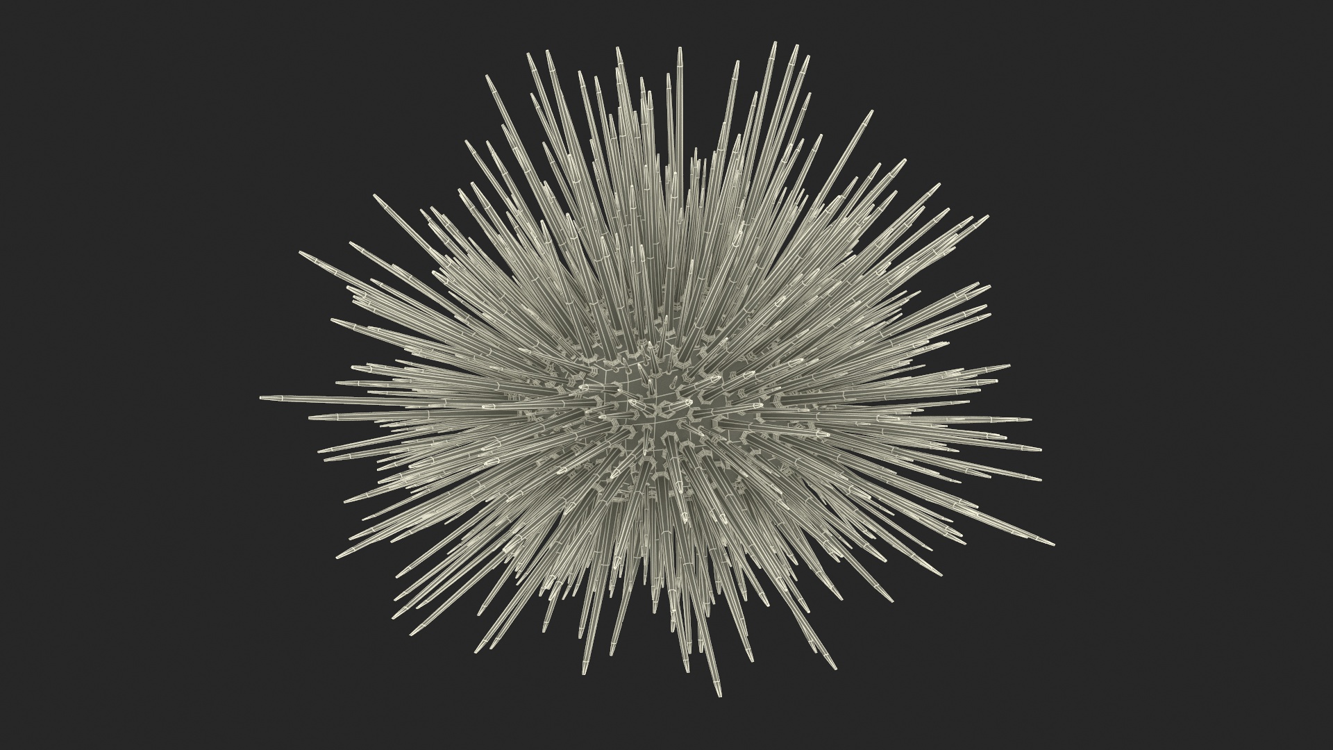 3D Black Sea Urchin