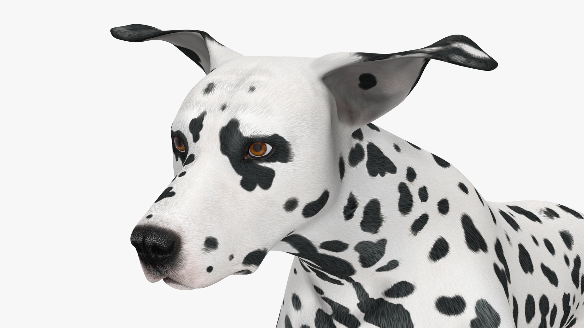 Running Spotted Dalmatian Dog 3D model