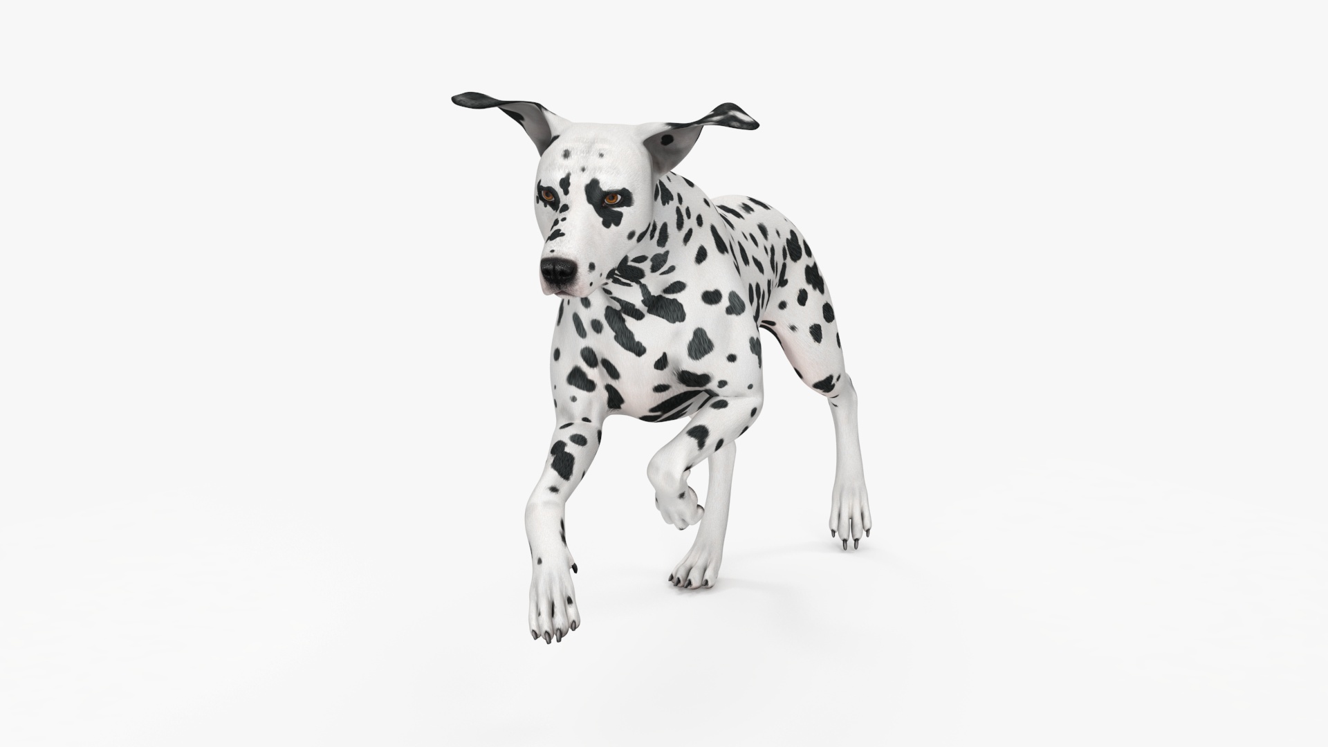 Running Spotted Dalmatian Dog 3D model