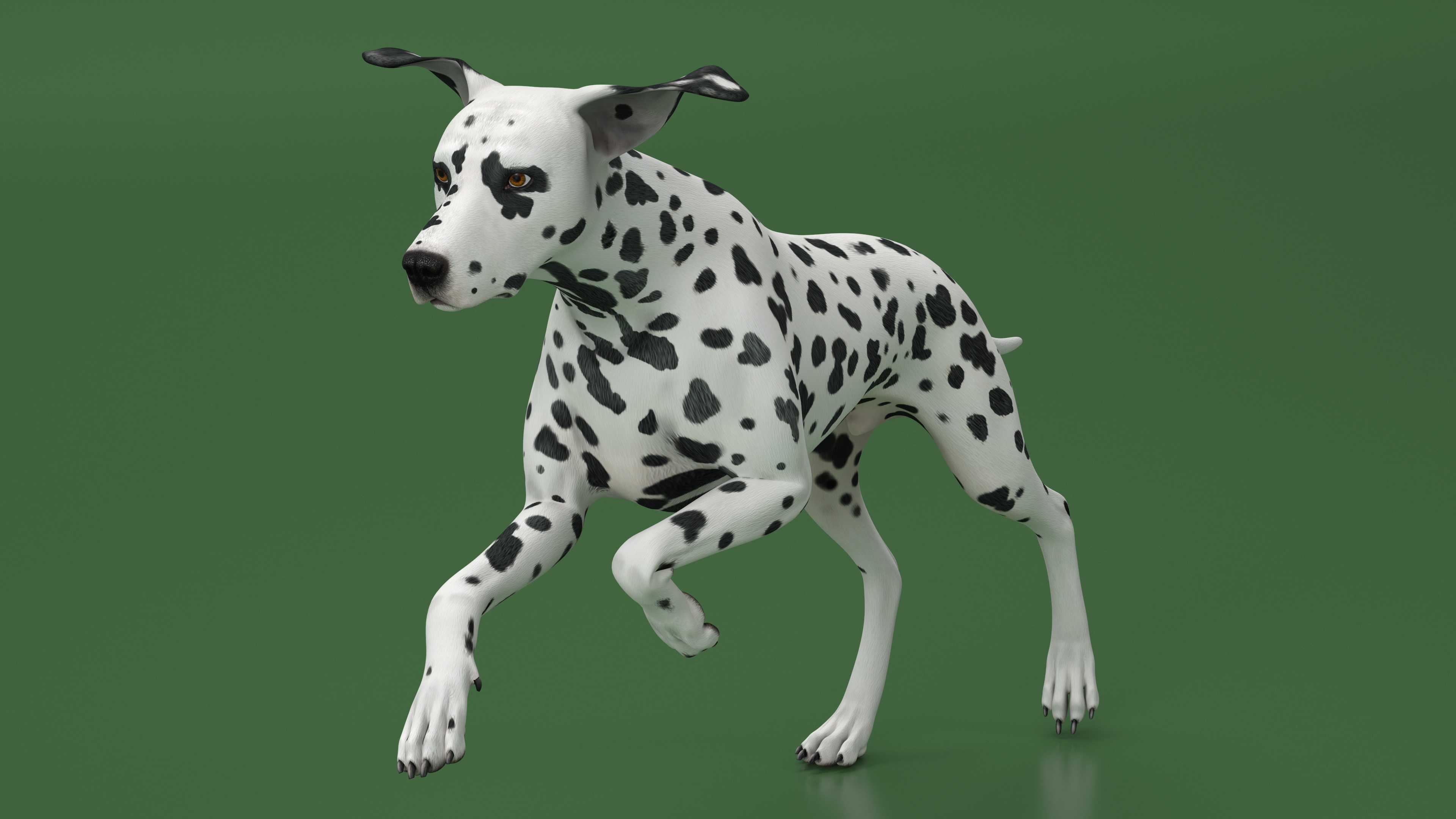 Running Spotted Dalmatian Dog 3D model