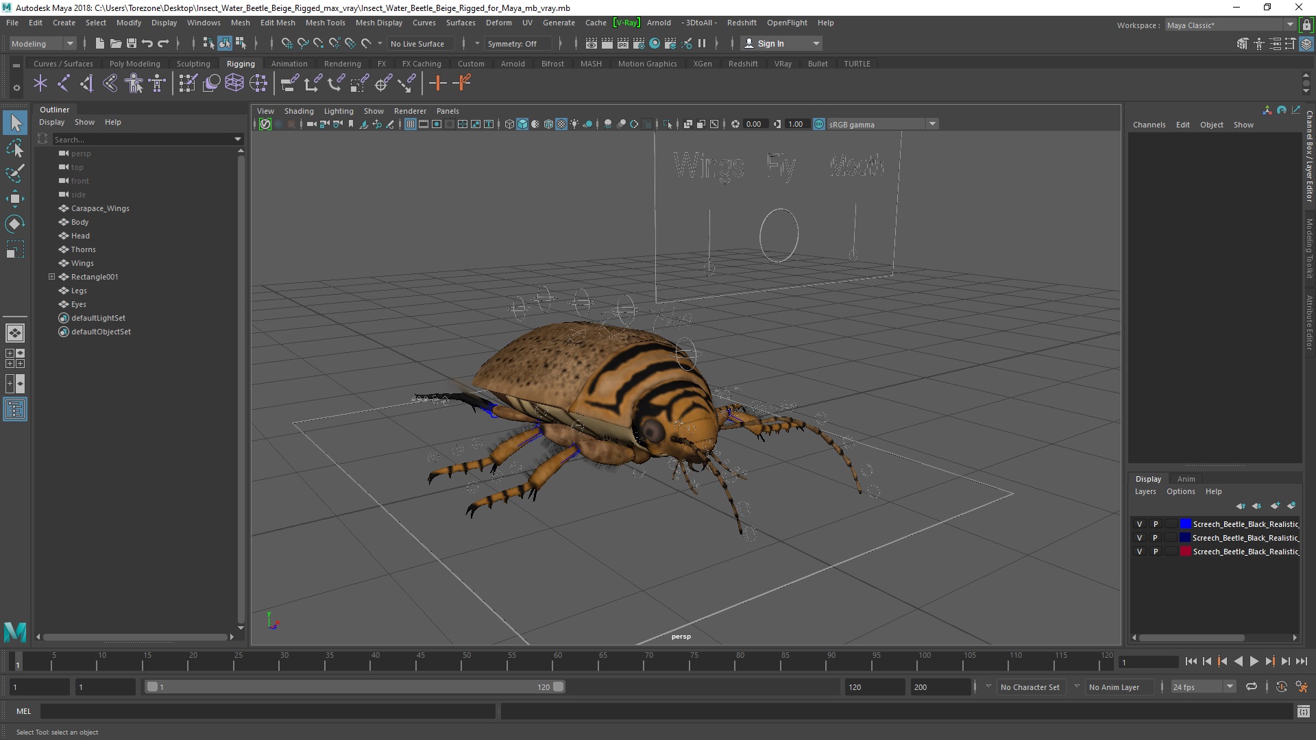 3D Insect Water Beetle Beige Rigged for Maya