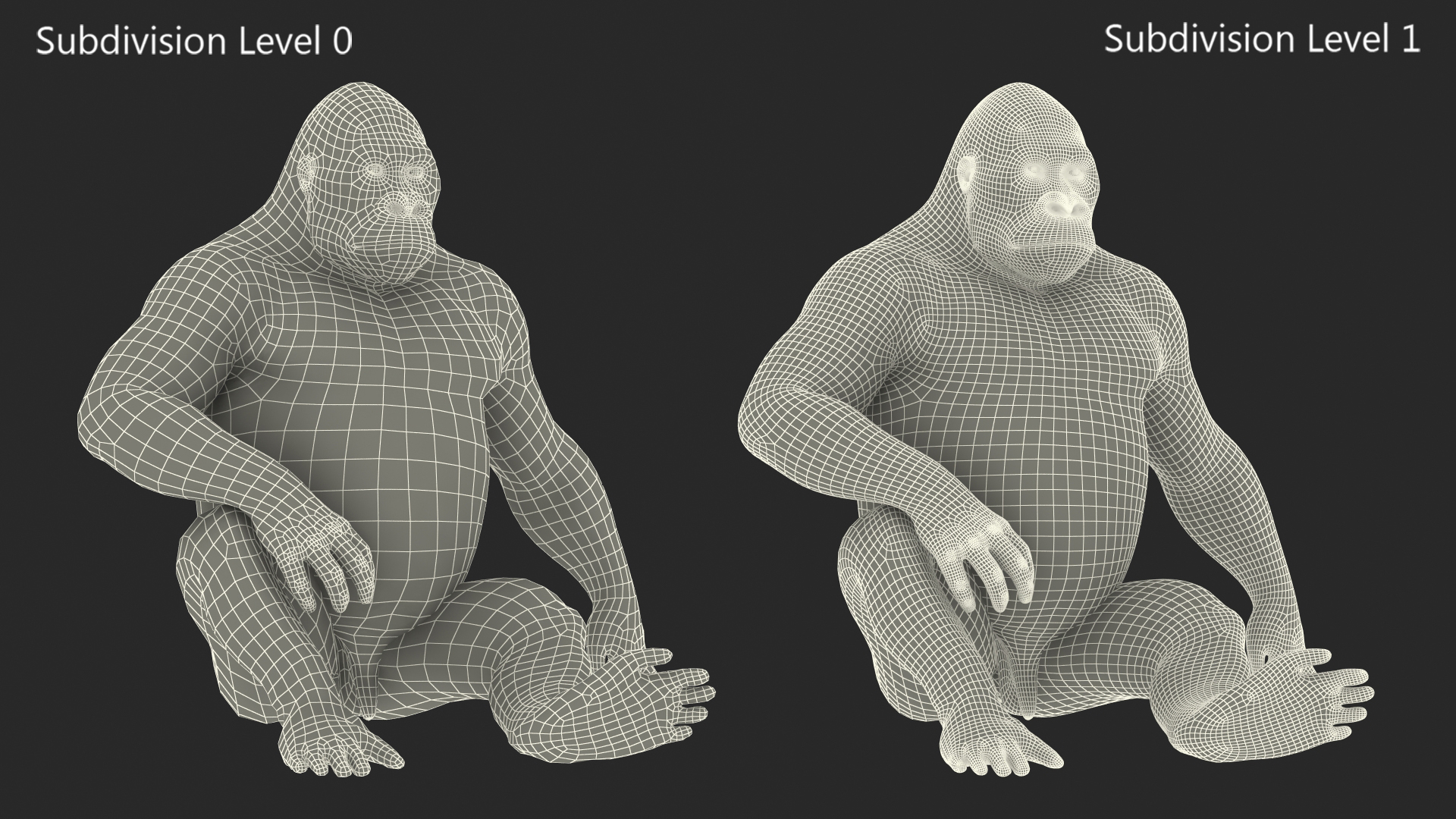 Eastern Gorilla Sitting Pose Fur 3D