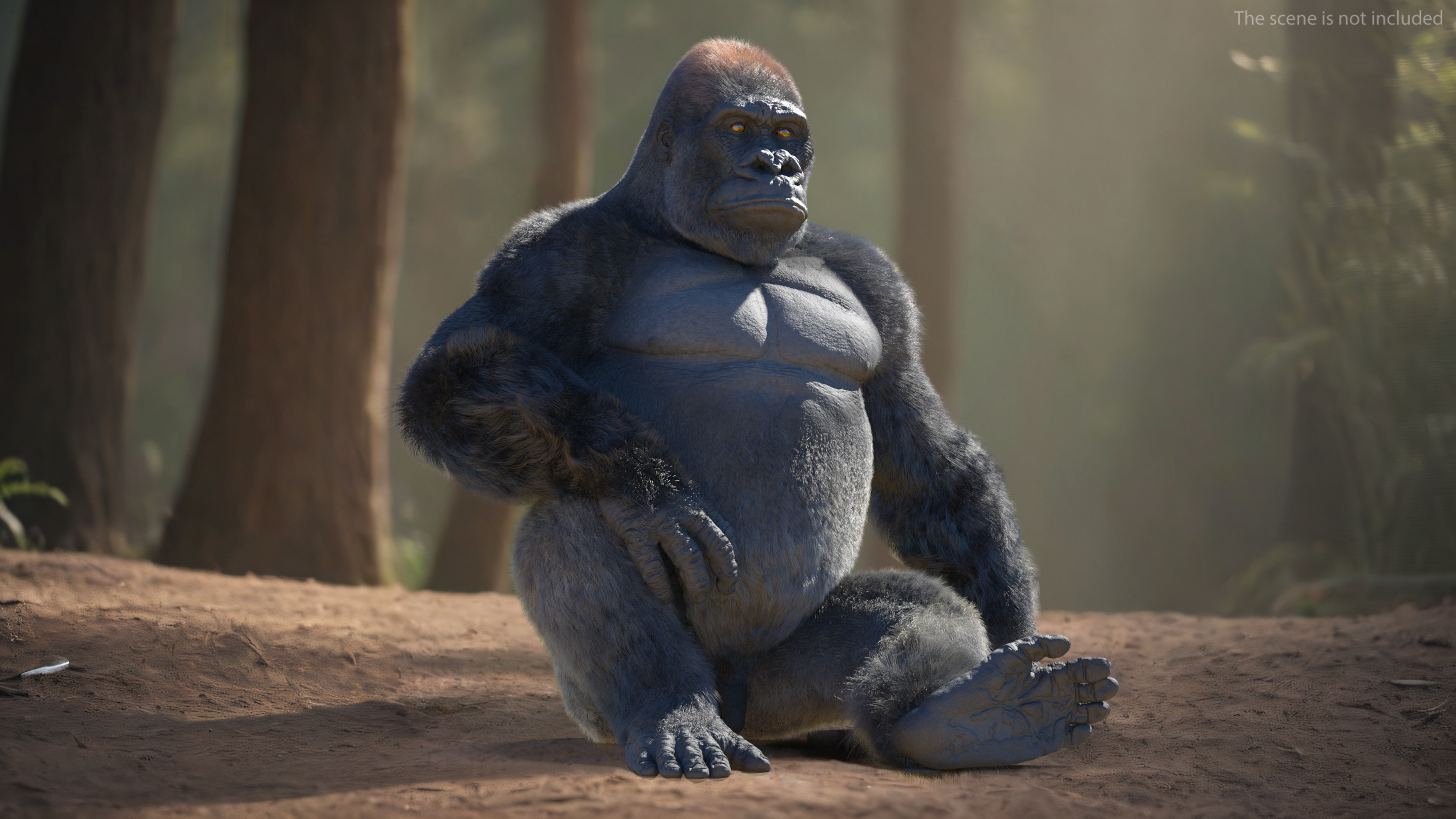 Eastern Gorilla Sitting Pose Fur 3D