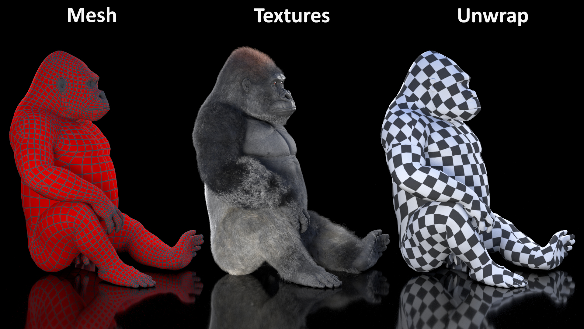 Eastern Gorilla Sitting Pose Fur 3D