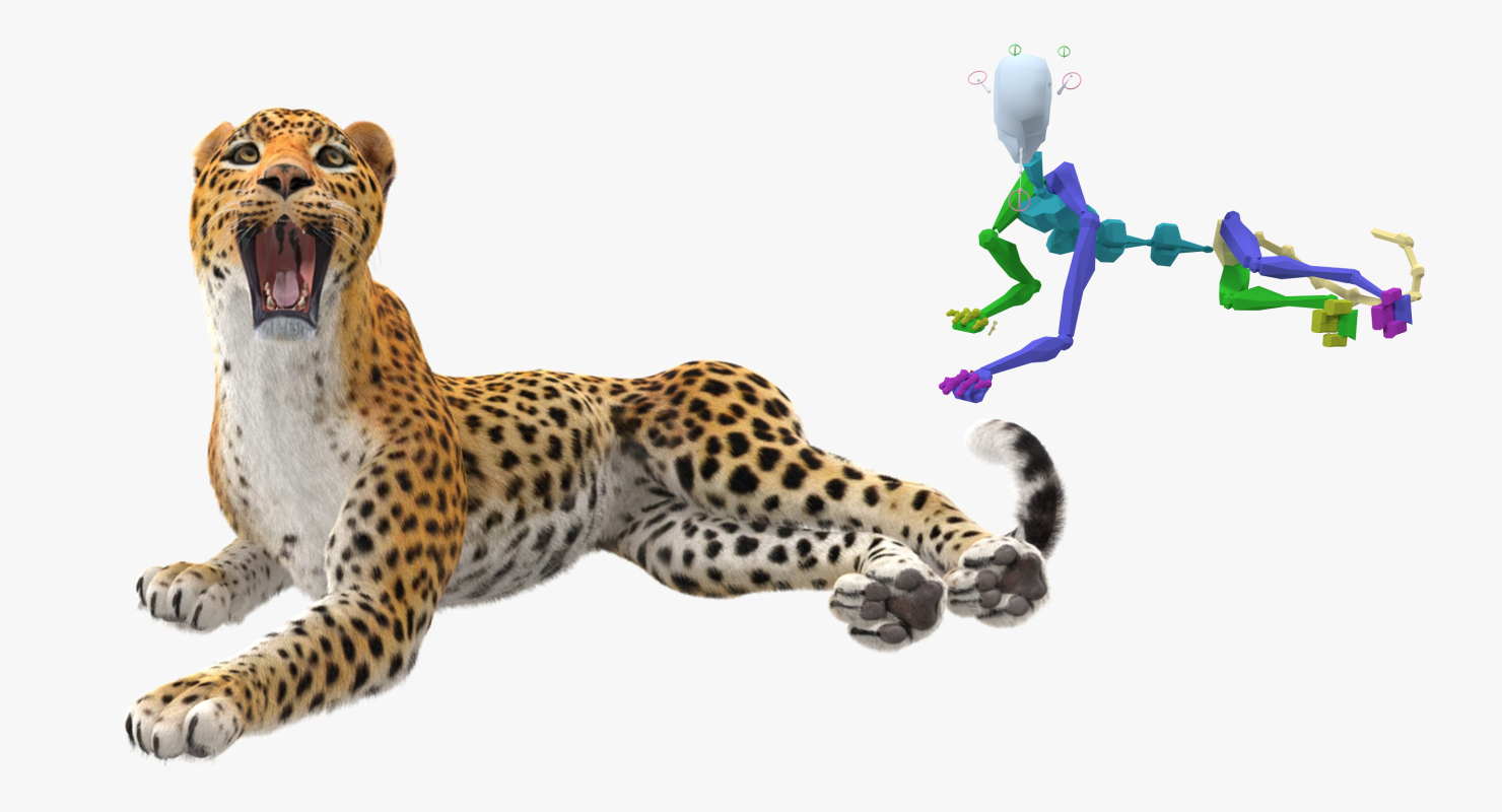 3D Leopard Rigged with Fur model