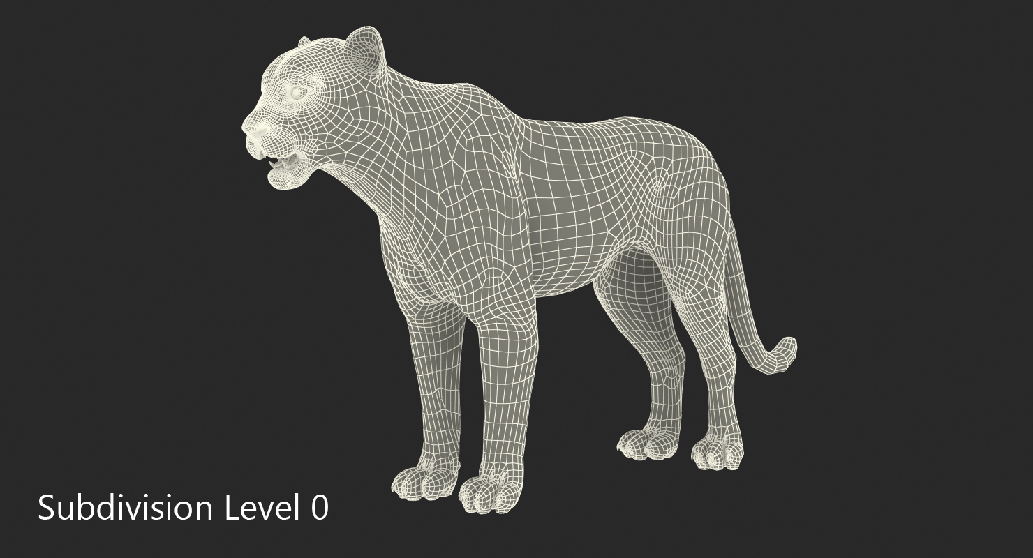 3D Leopard Rigged with Fur model