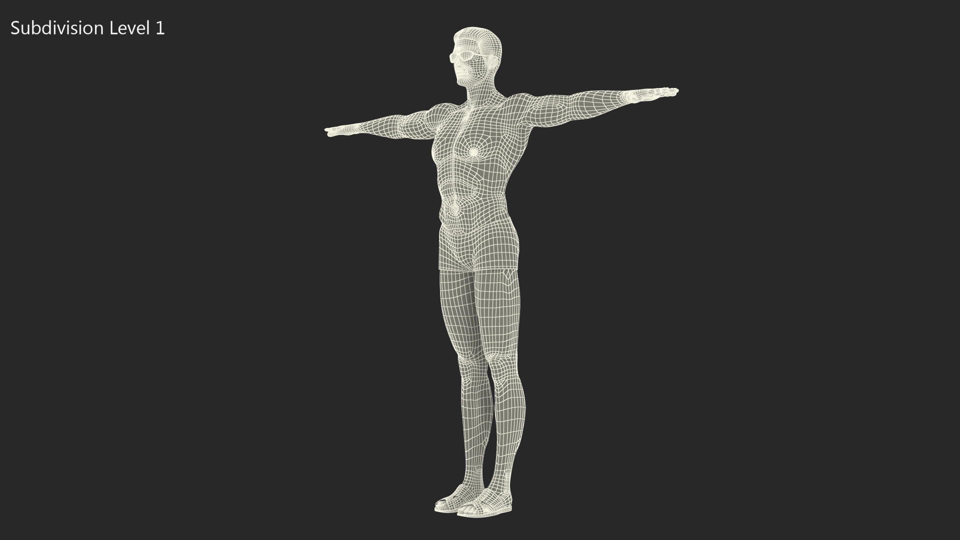 Man in Swimwear Rigged 3D