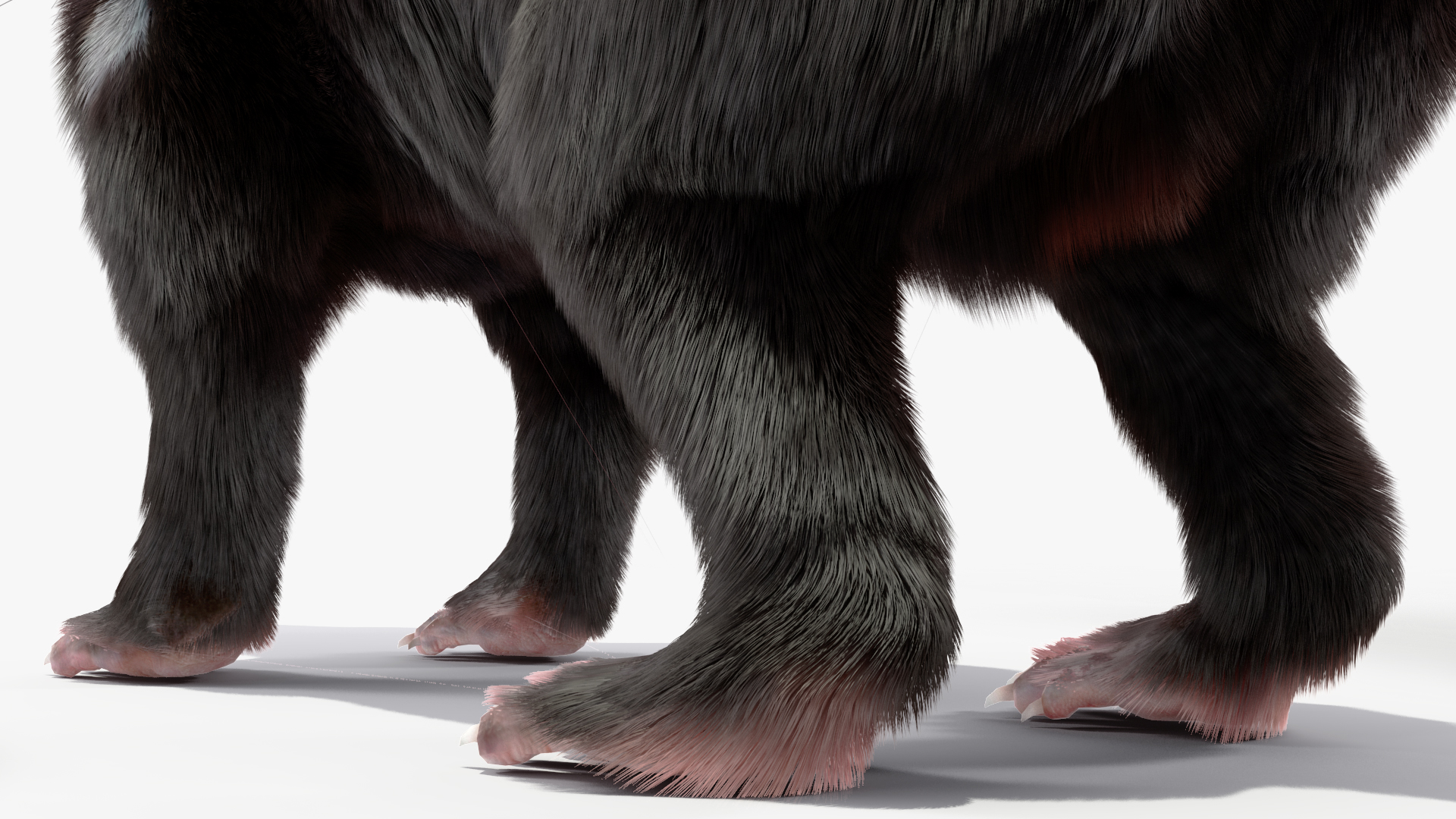 Tasmanian Devil Fur 3D model