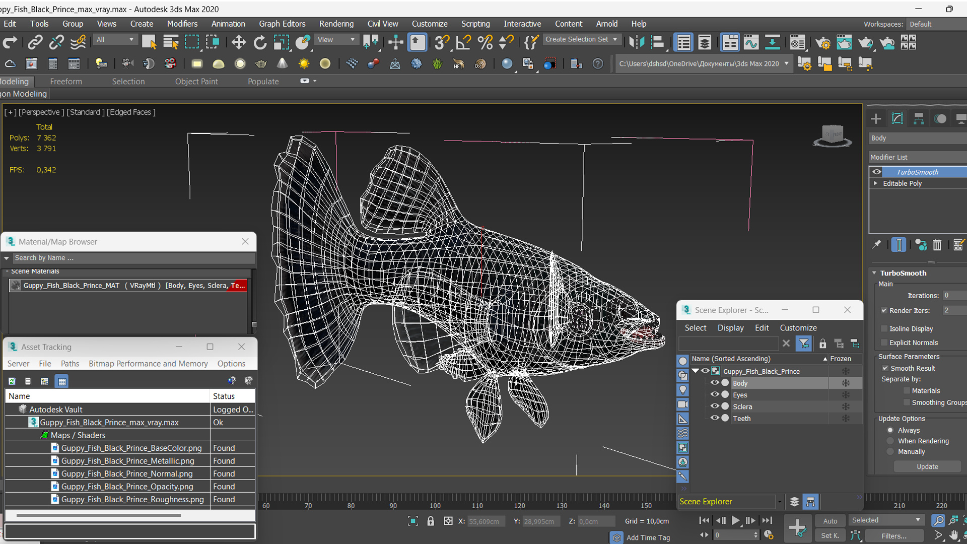 3D Guppy Fish Black Prince model