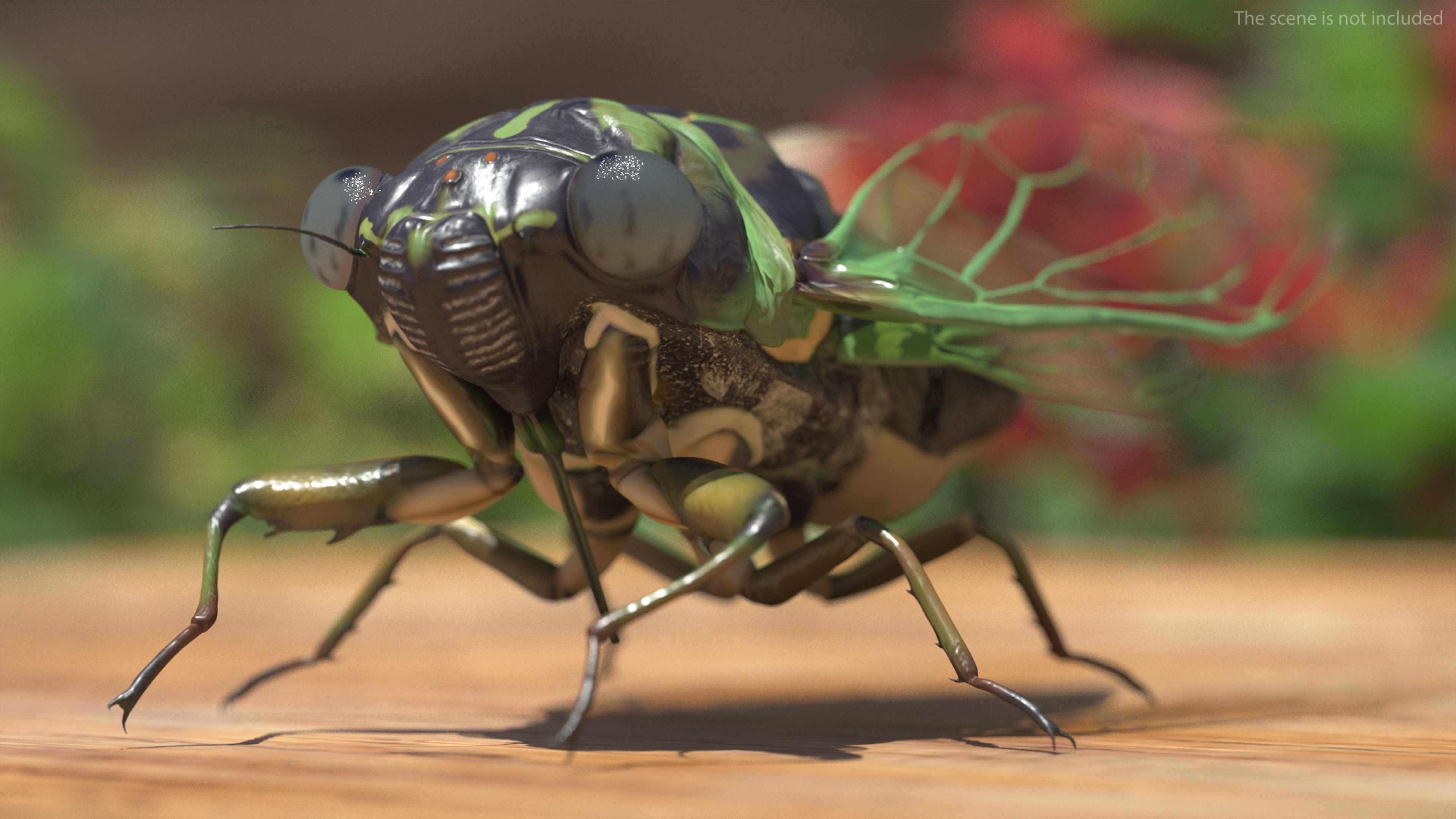 3D Cicada Rigged model