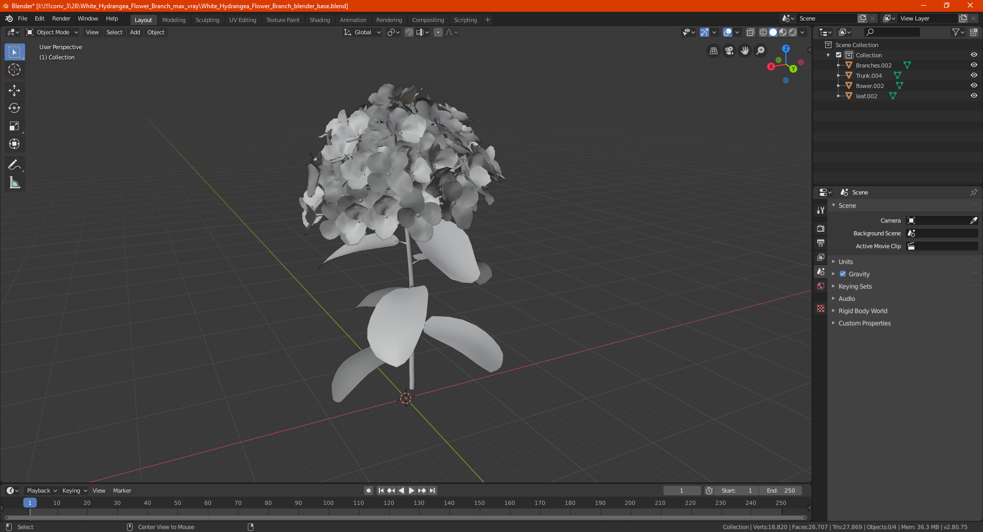 White Hydrangea Flower Branch 3D model