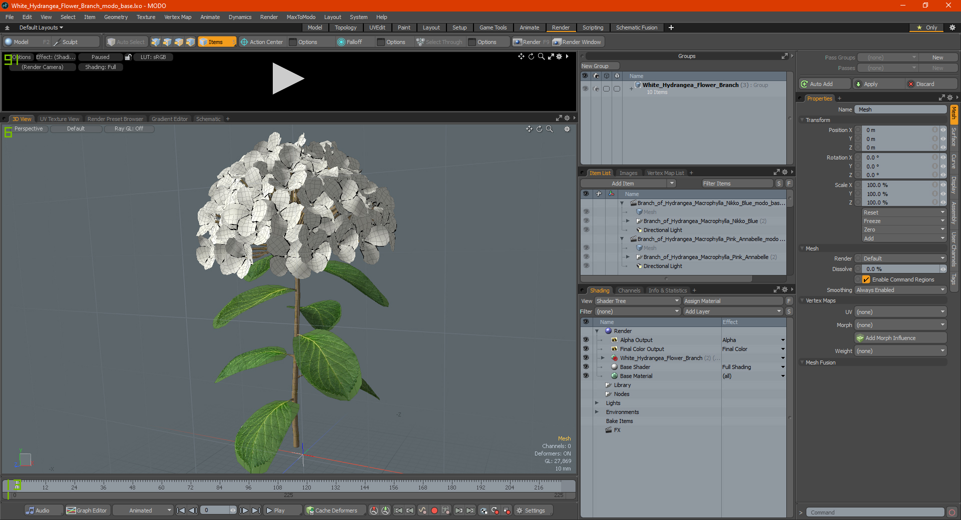 White Hydrangea Flower Branch 3D model