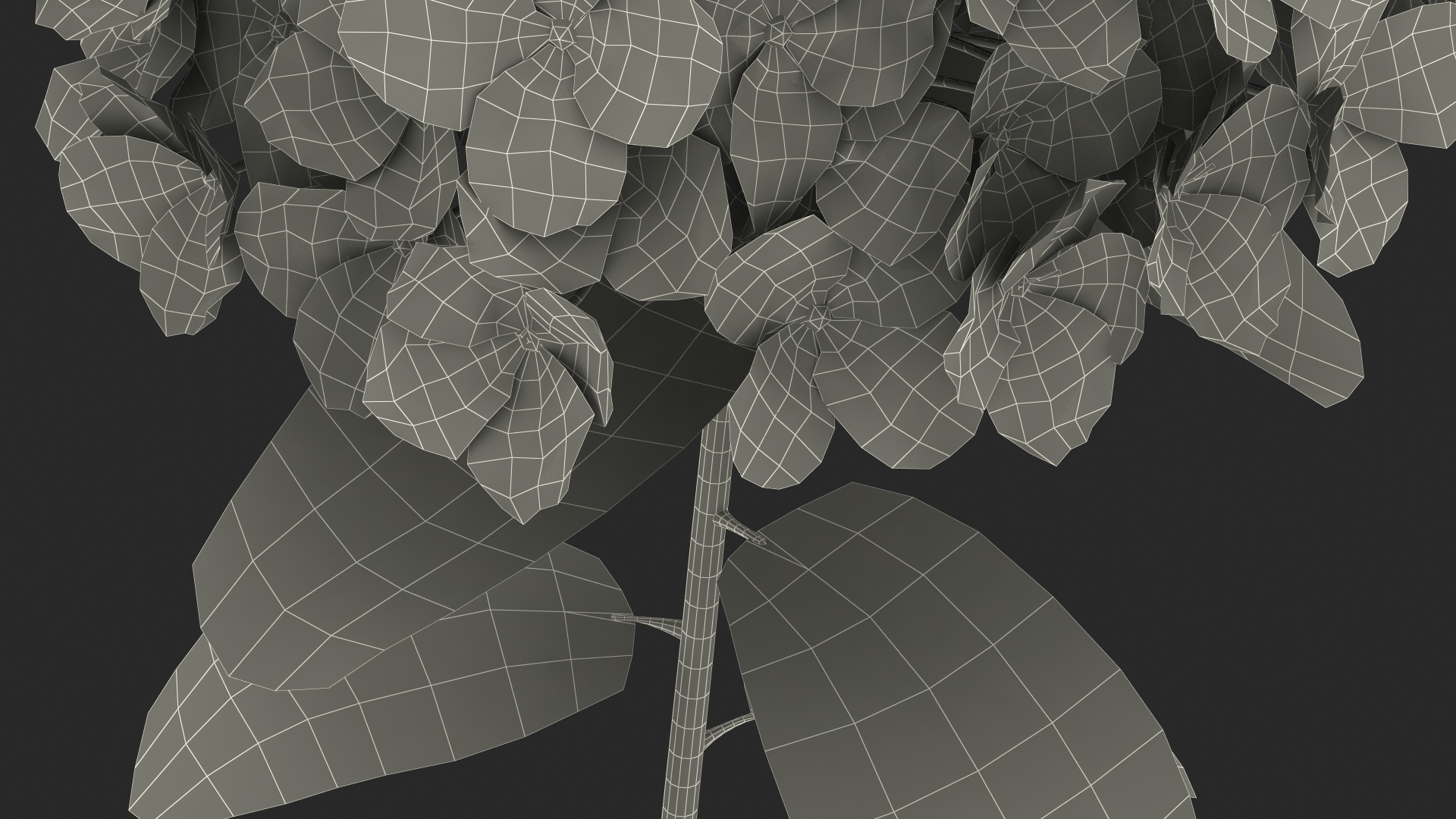 White Hydrangea Flower Branch 3D model