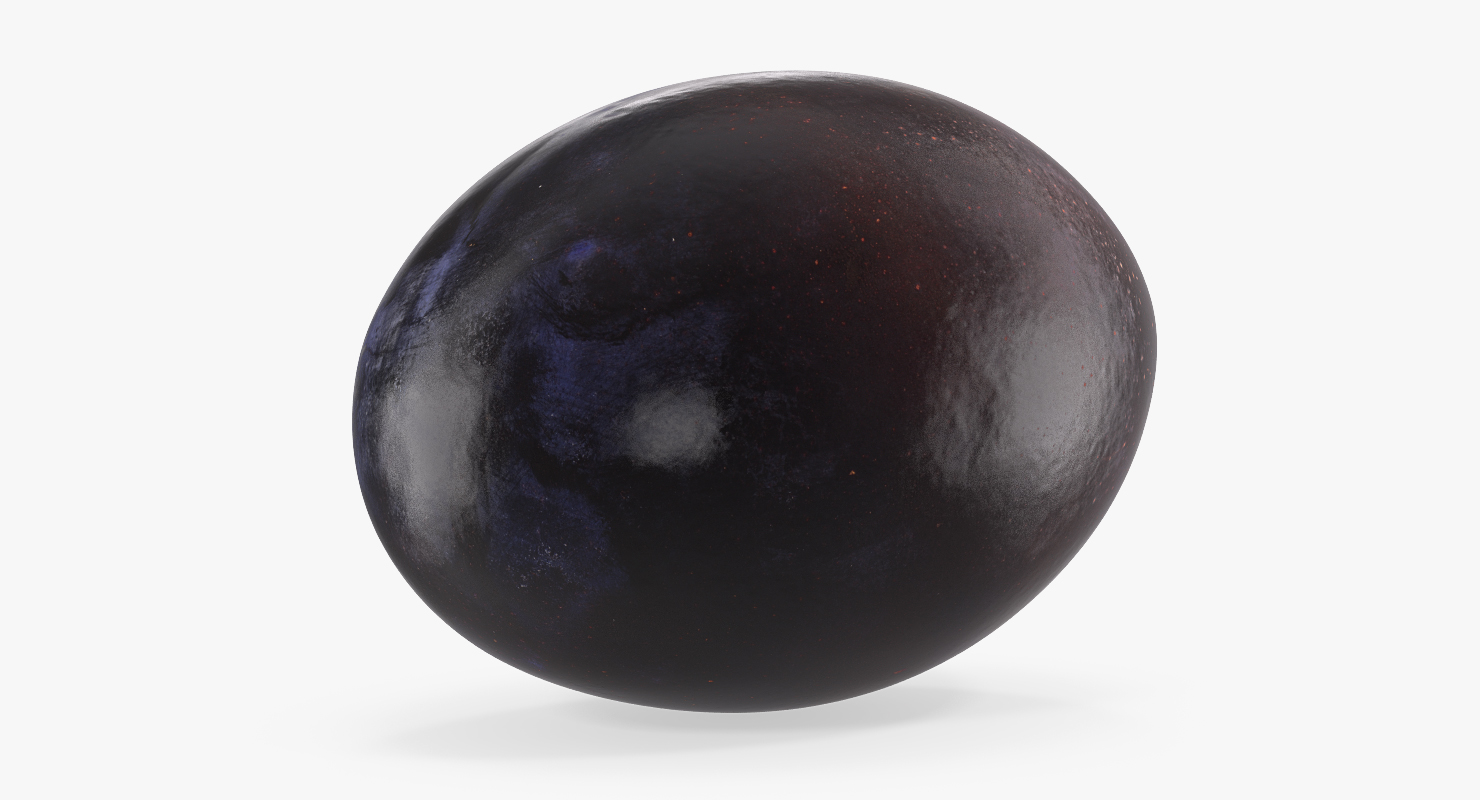 Blue Plum 3D model