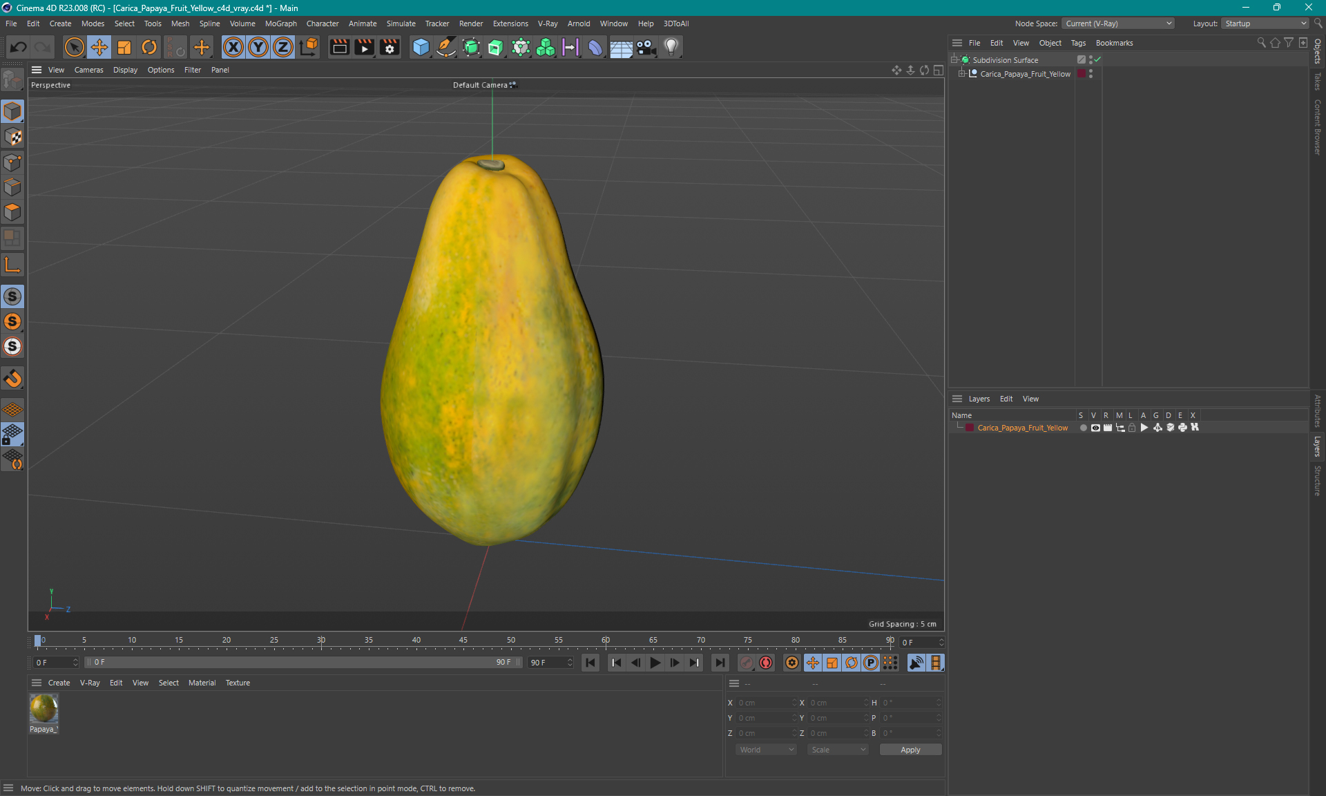 3D Carica Papaya Fruit Yellow