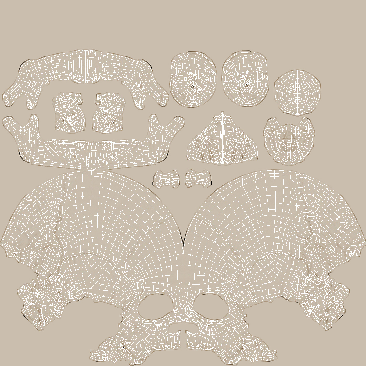 3D Male Skeleton Muscular System and Skin model