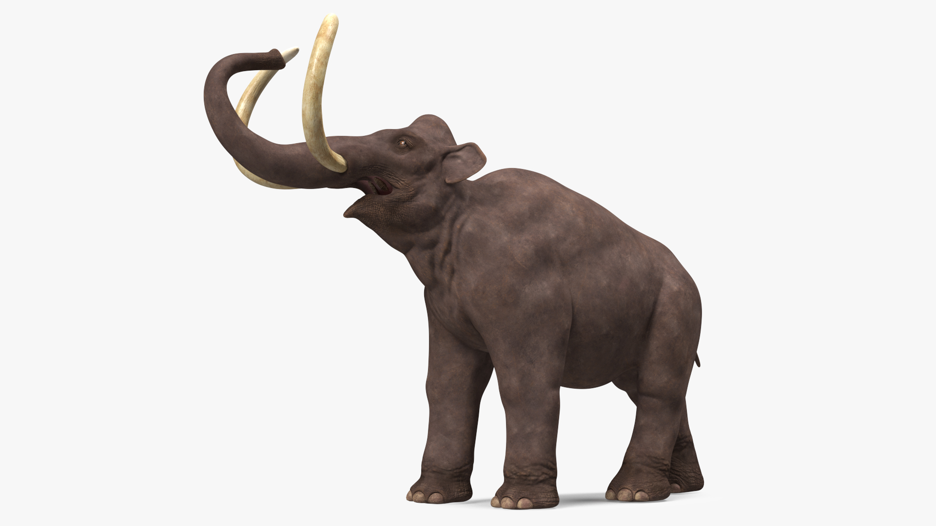 3D model Mammoth Adult Rigged