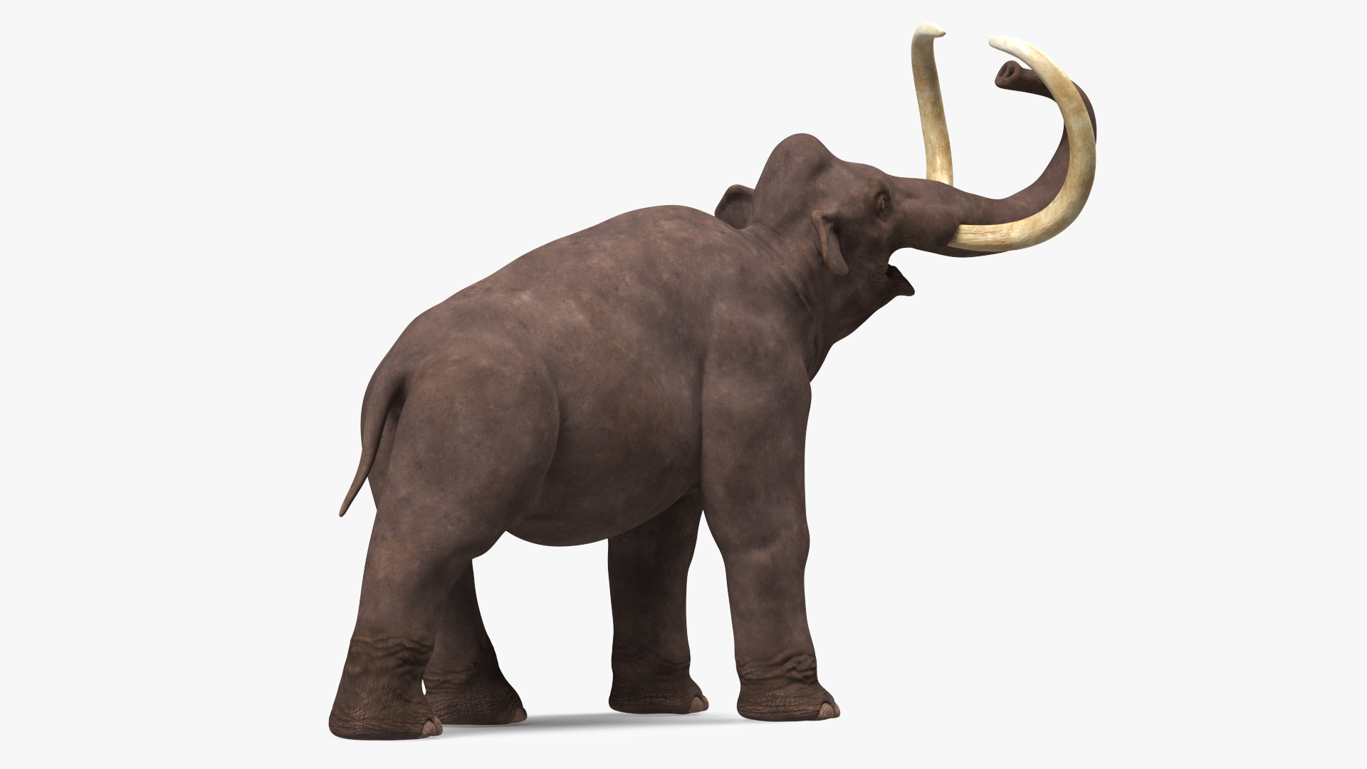 3D model Mammoth Adult Rigged