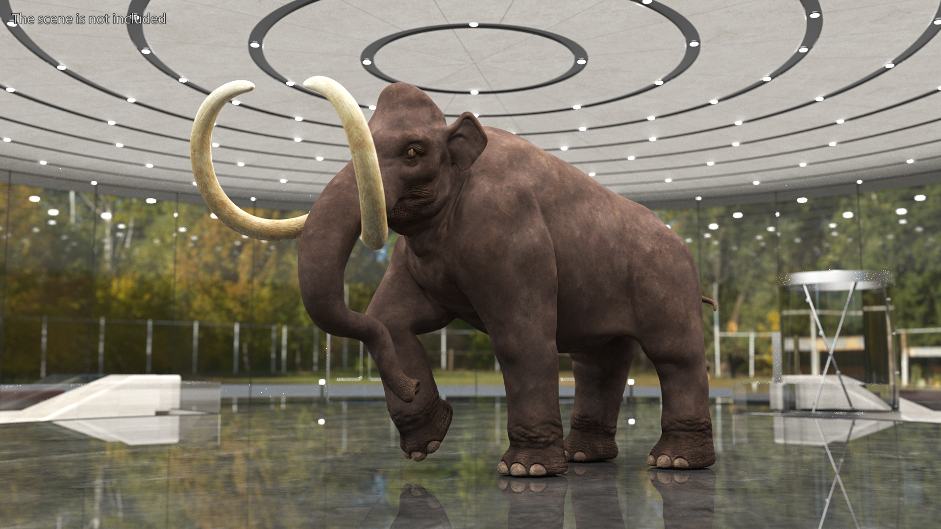 3D model Mammoth Adult Rigged