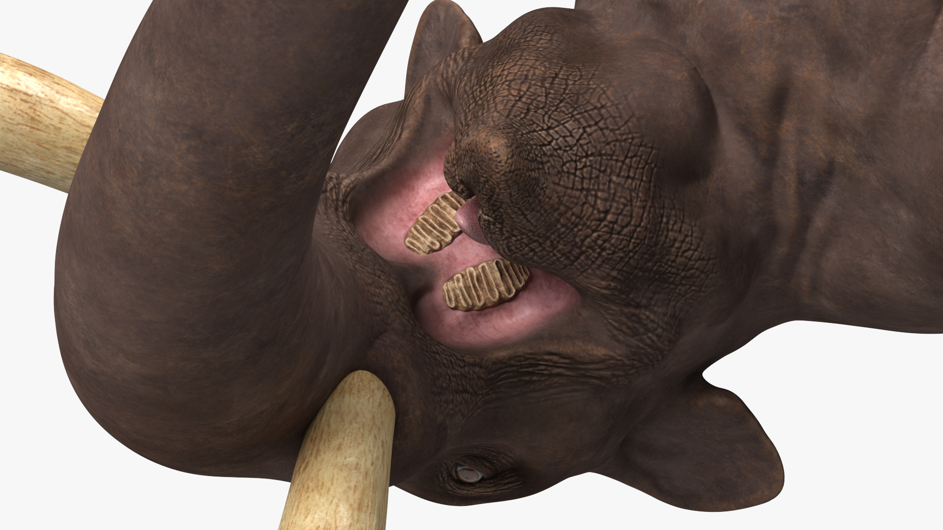 3D model Mammoth Adult Rigged