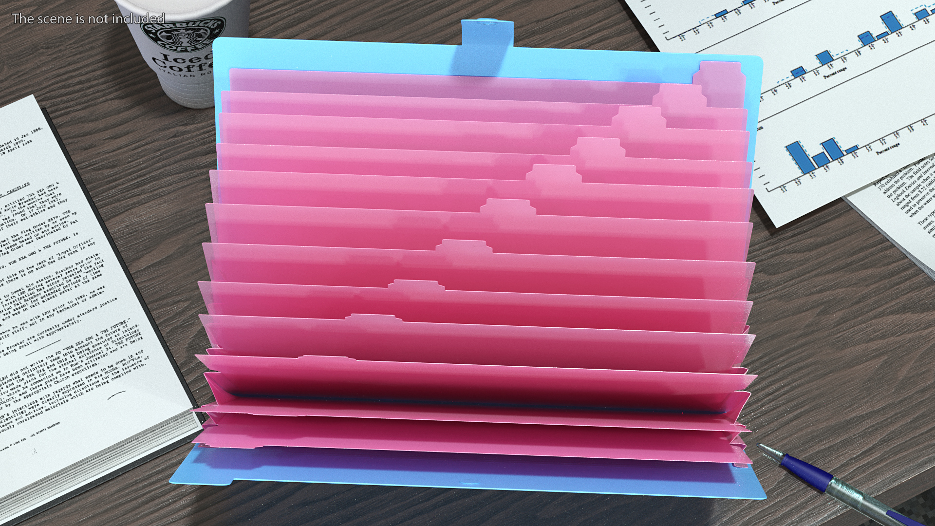 3D Expanding File Folder Open Pink