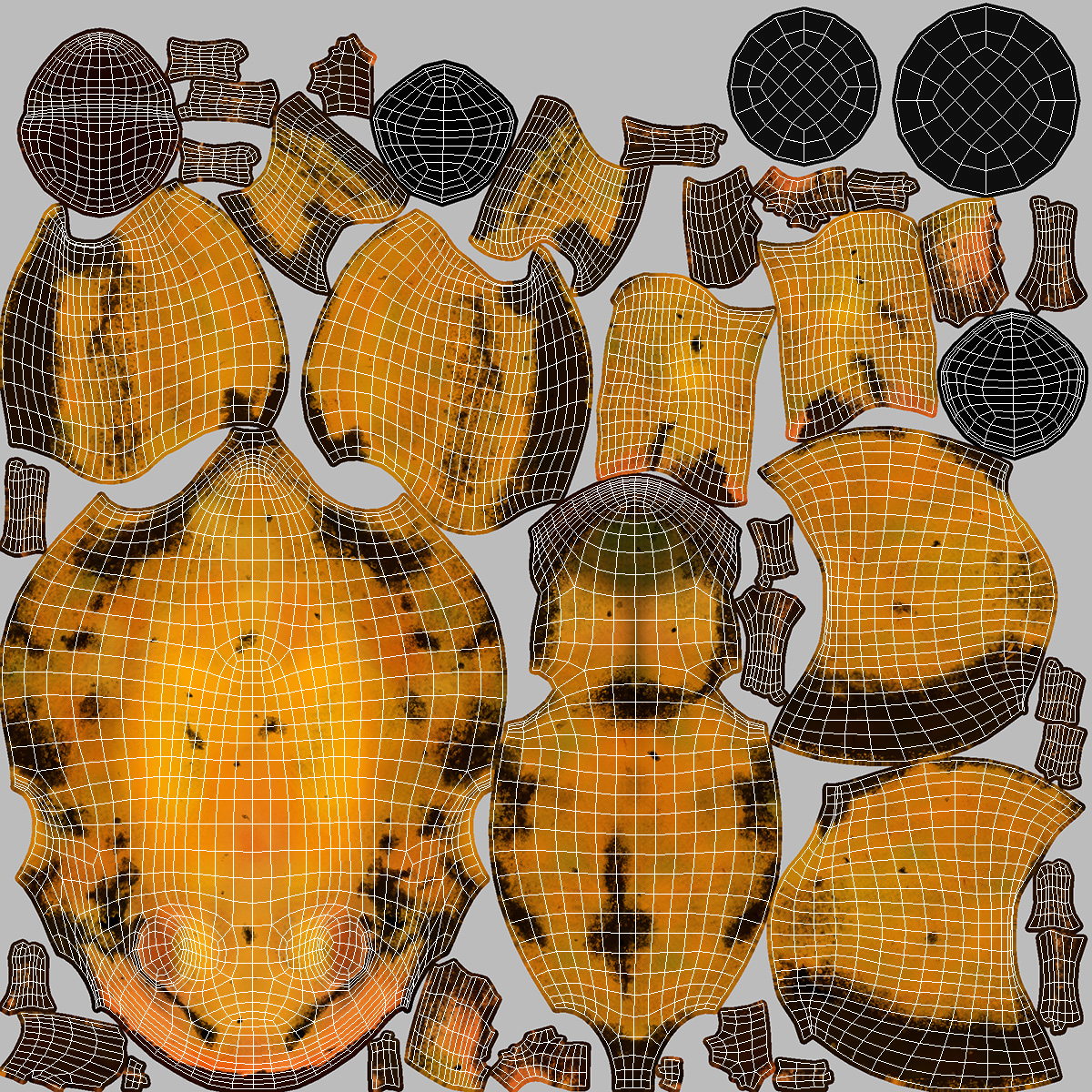 Poisonous Dart Frog Orange Morph Rigged 3D model