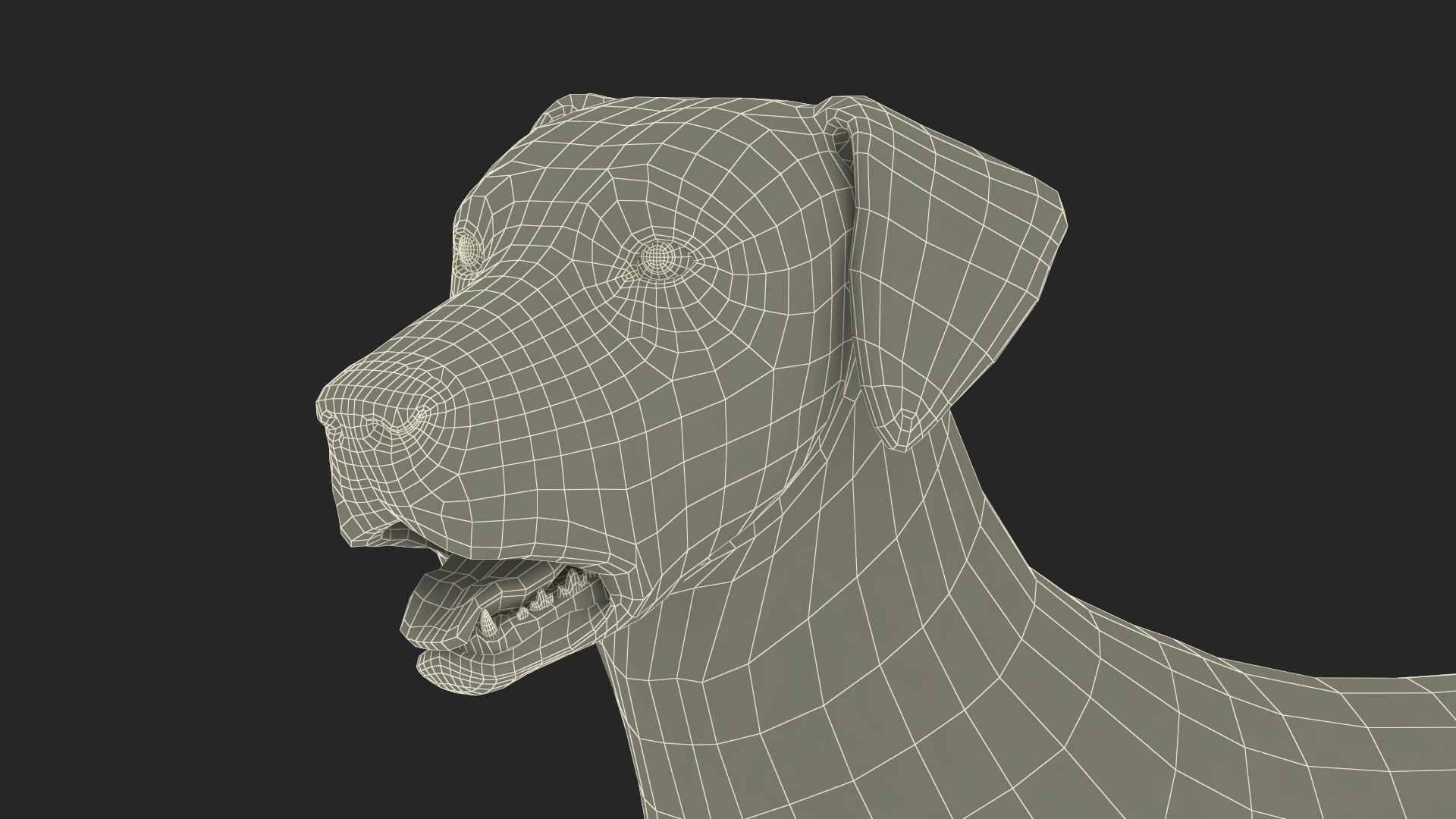 Dalmatian Dog Standing Pose 3D