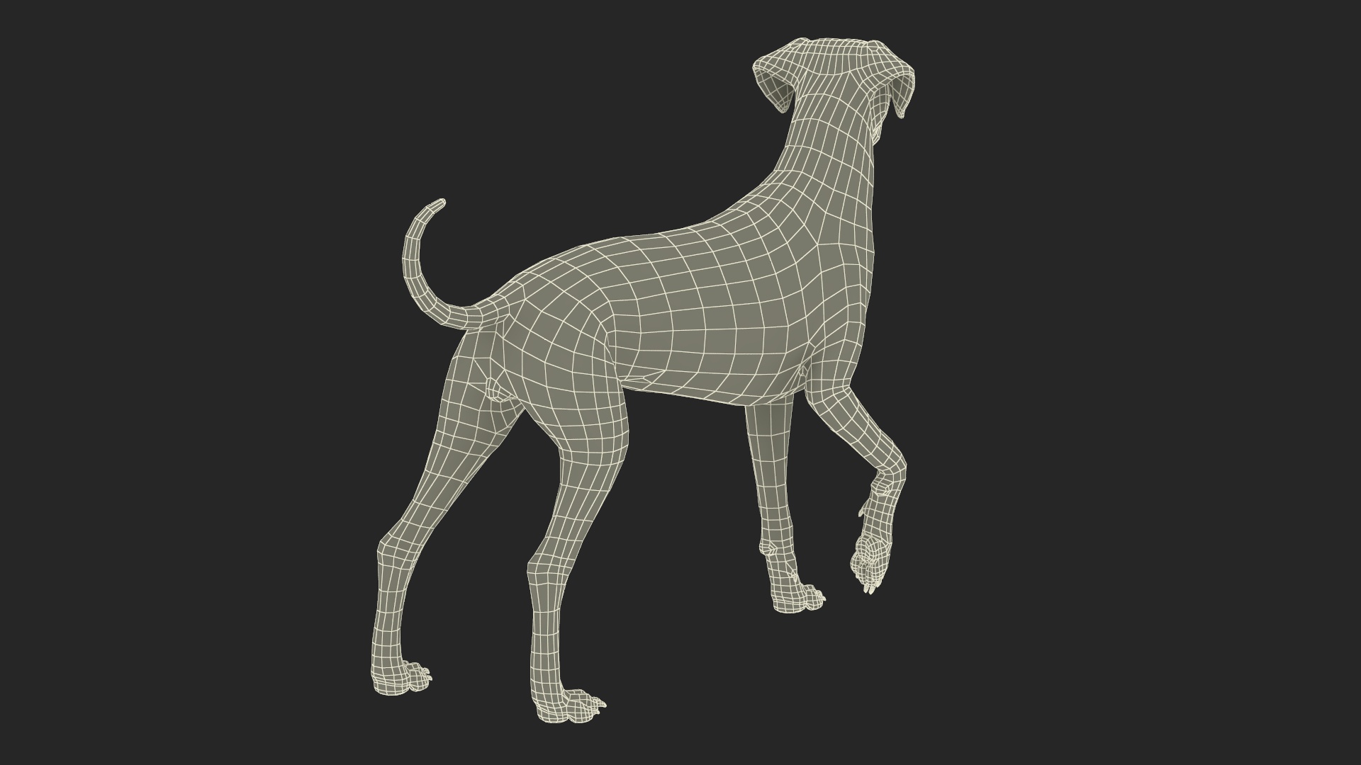 Dalmatian Dog Standing Pose 3D