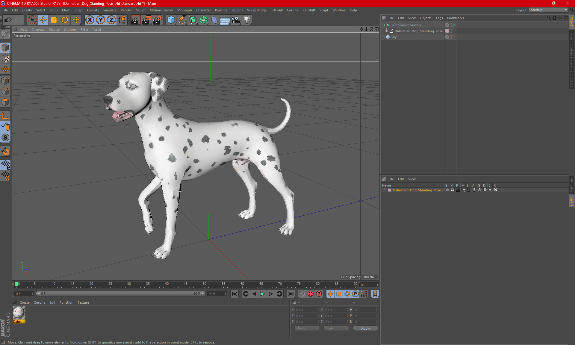 Dalmatian Dog Standing Pose 3D