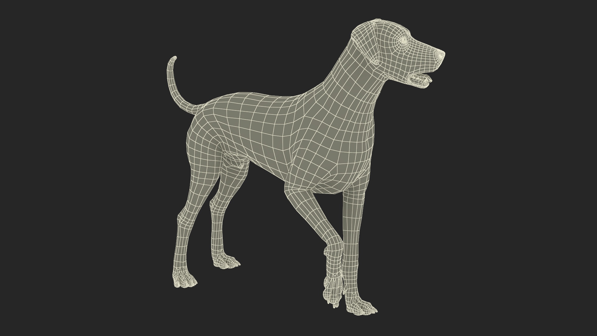 Dalmatian Dog Standing Pose 3D