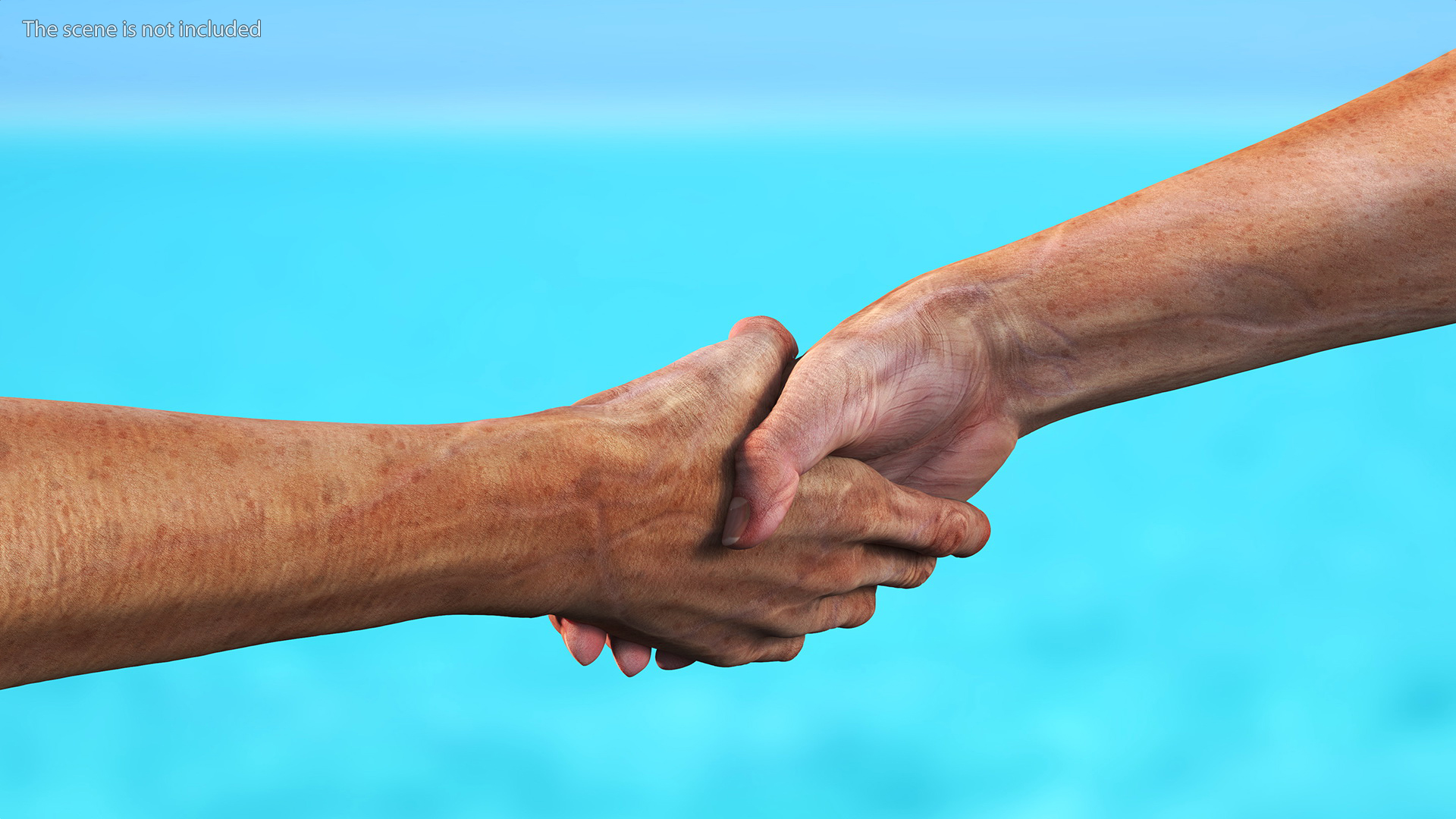 3D Handshake Old Man Hands model