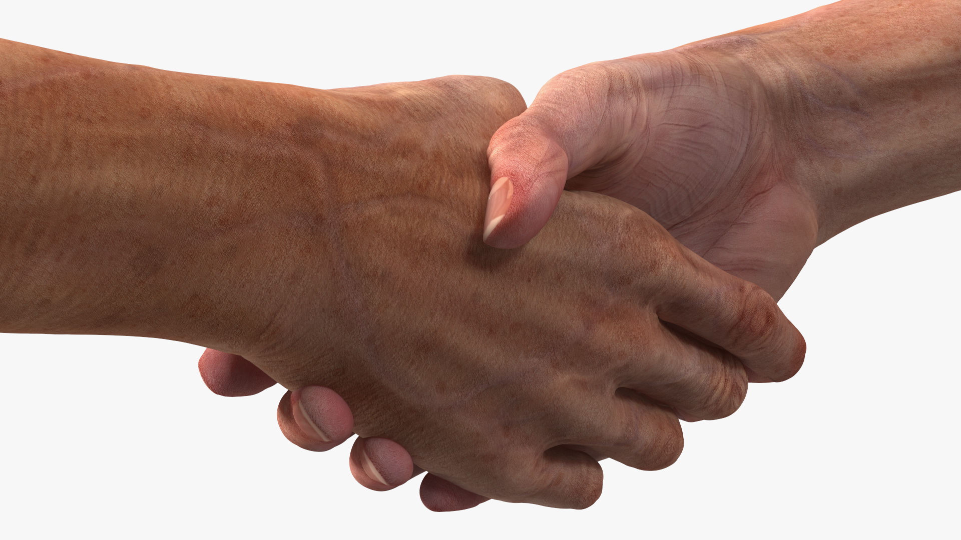 3D Handshake Old Man Hands model