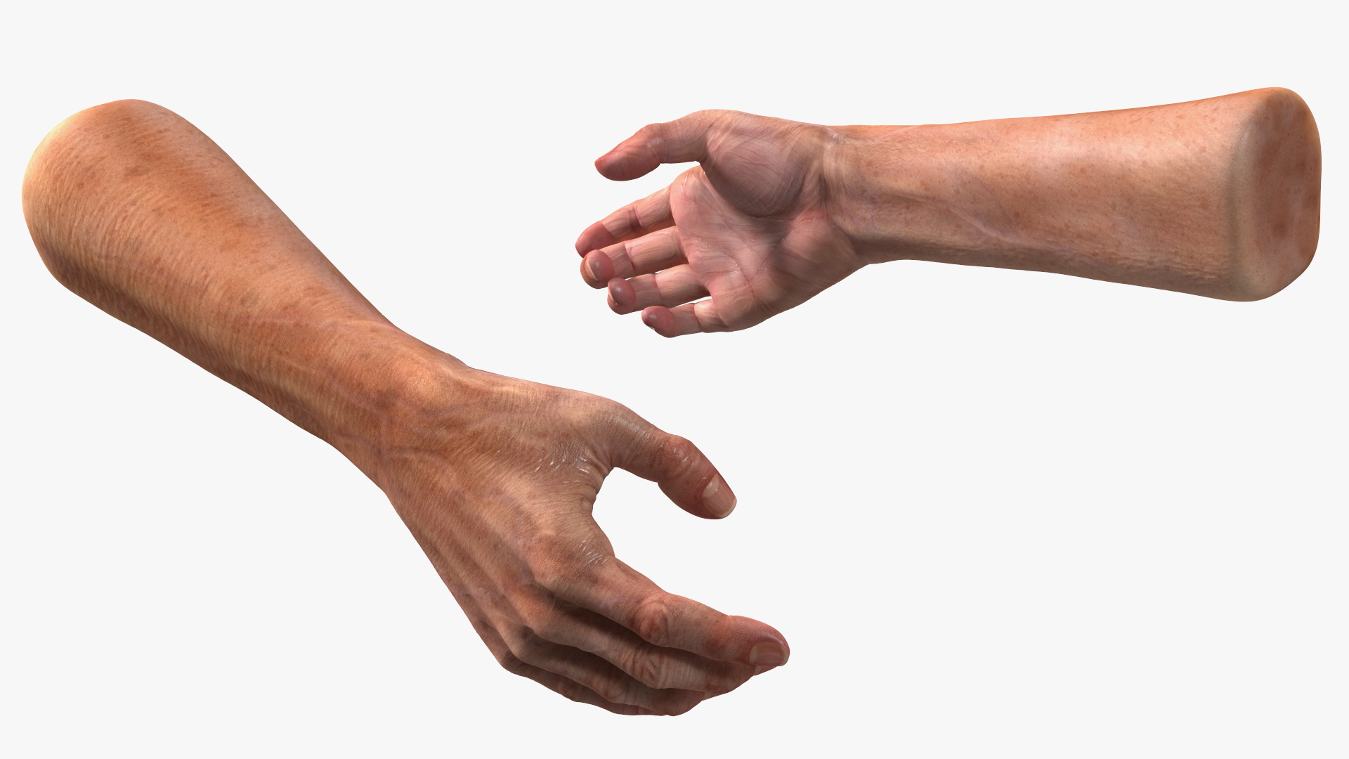 3D Handshake Old Man Hands model